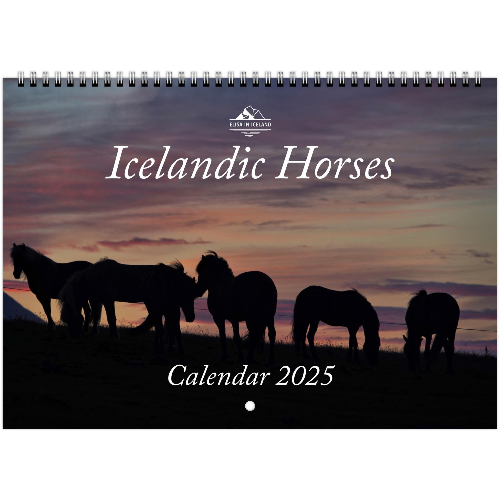Icelandic Horses Calendar 2025 Elisa in Iceland