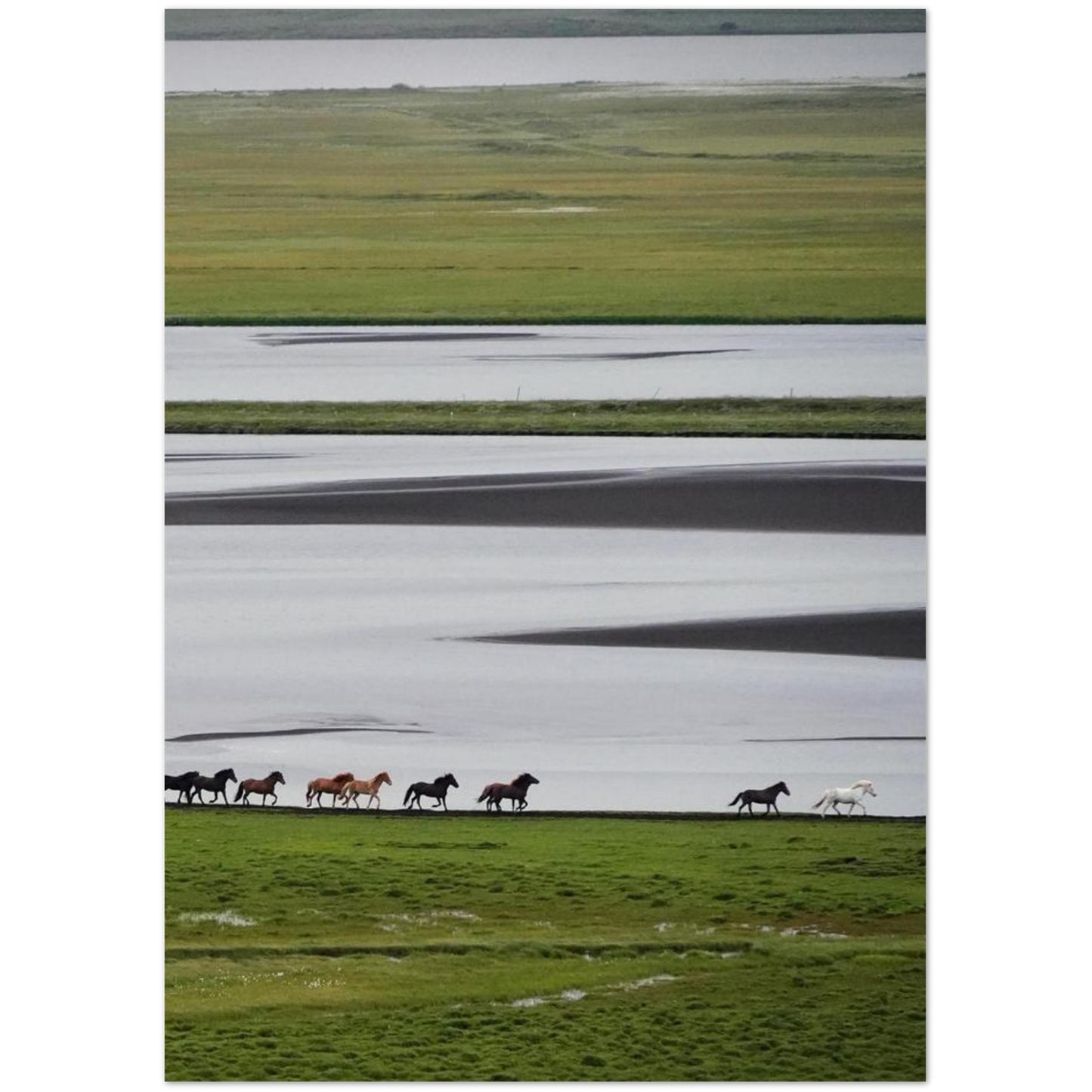 68a7c91d-1f24-486b-9bf8-a71d5b2d9675