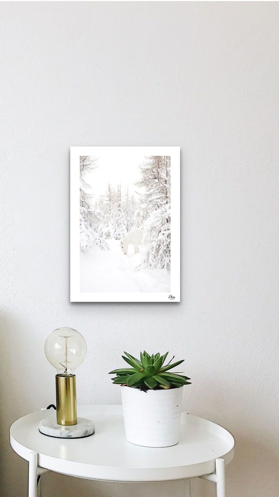 After the snow storm