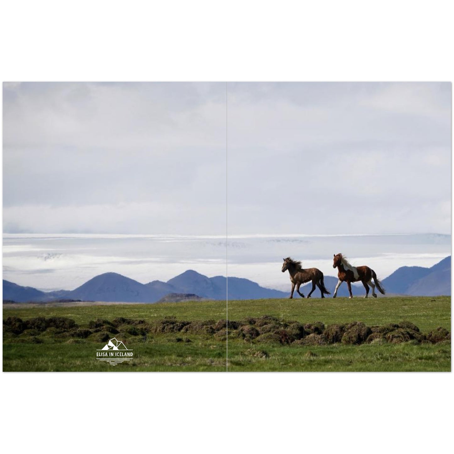 a8bfde5a-ec53-4b39-a815-f1c10104e004