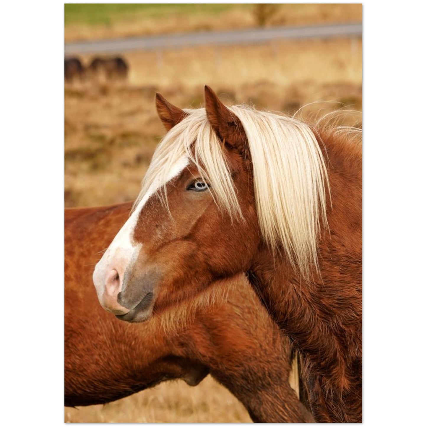 ae94ad21-8677-4d9c-86b2-04cf63cdeed4