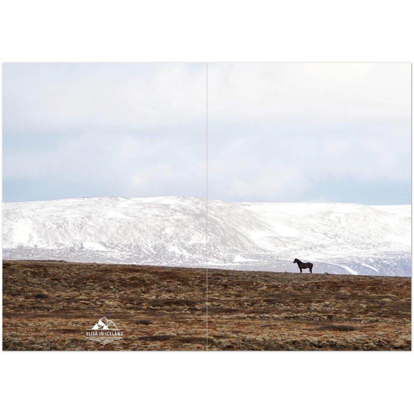 e2cc3612-3554-43b1-b1a0-bdd29796257b