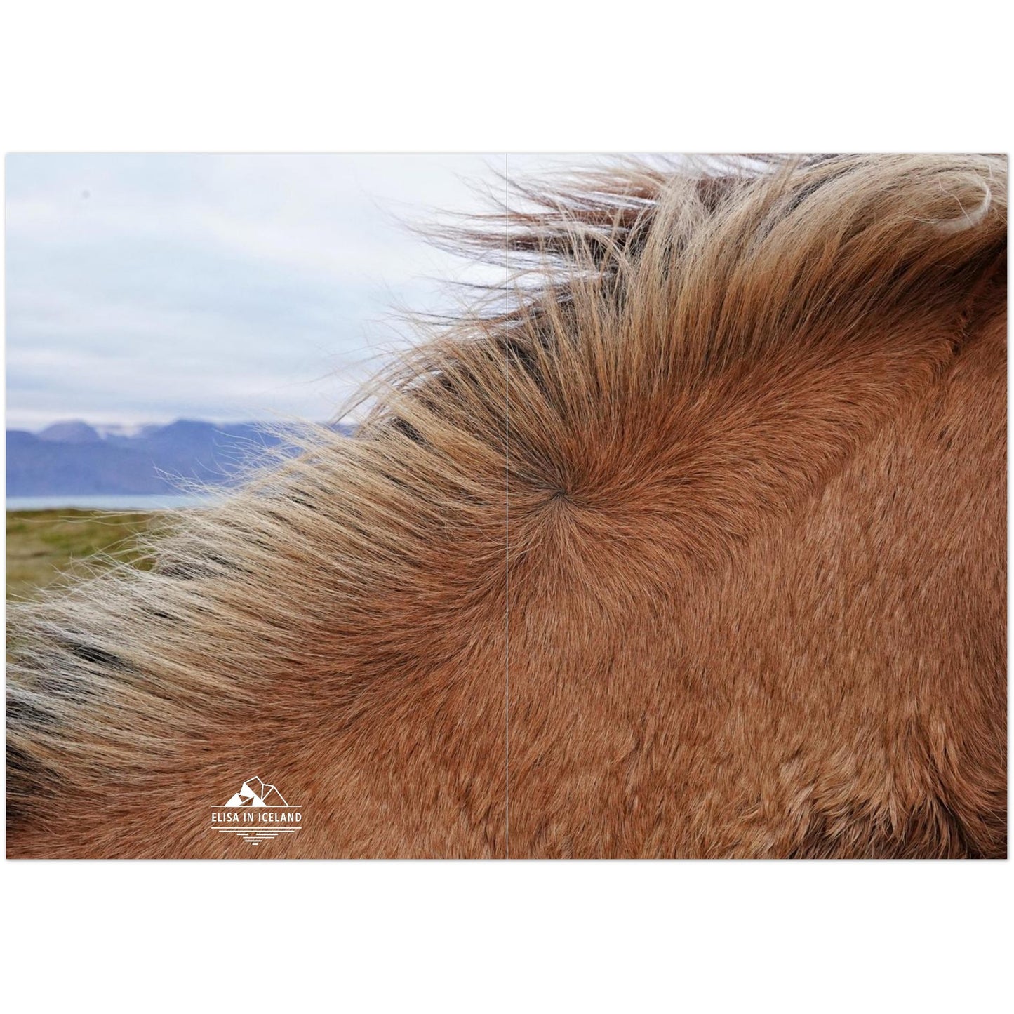 f1903a05-ae2e-4dc0-b245-29eda2c7dc39