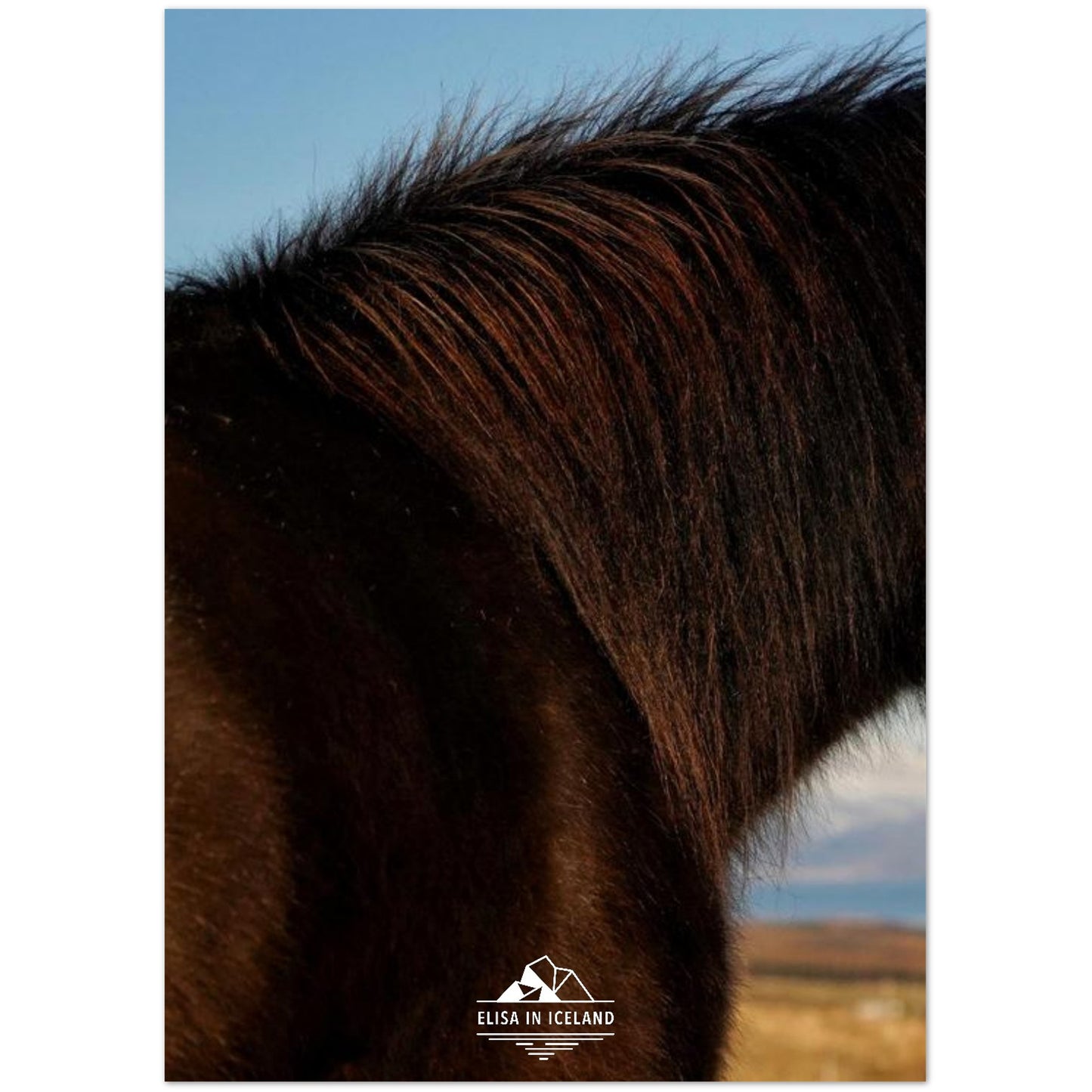 f61dfb43-8ea3-4dc7-85ce-e54421c0d2a5