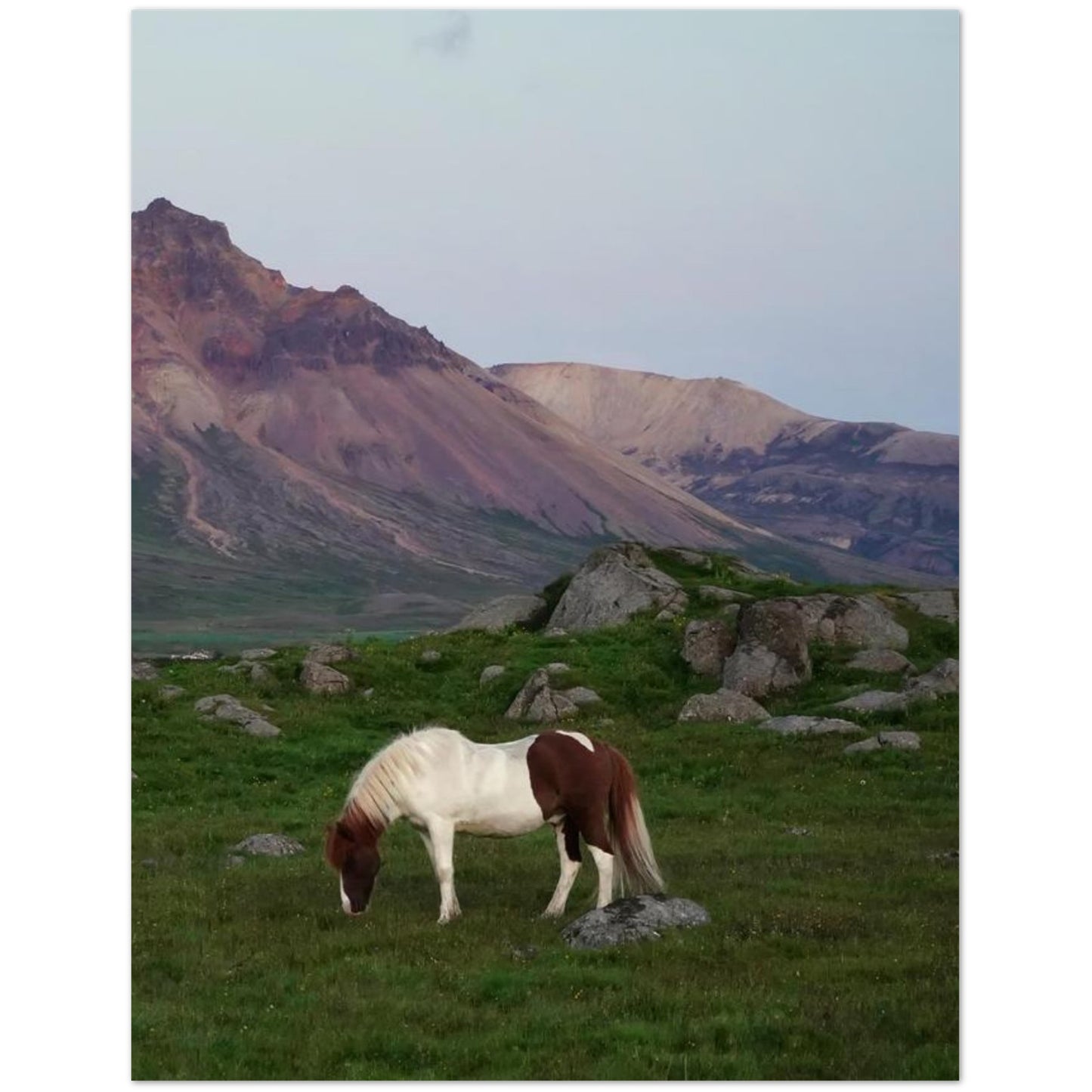 fc52b8de-336e-4ef4-acc5-ae50597ef9b5