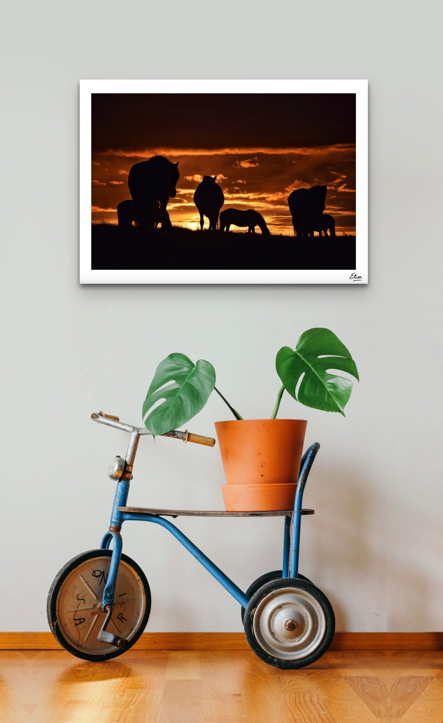 Horses in the midnight sun