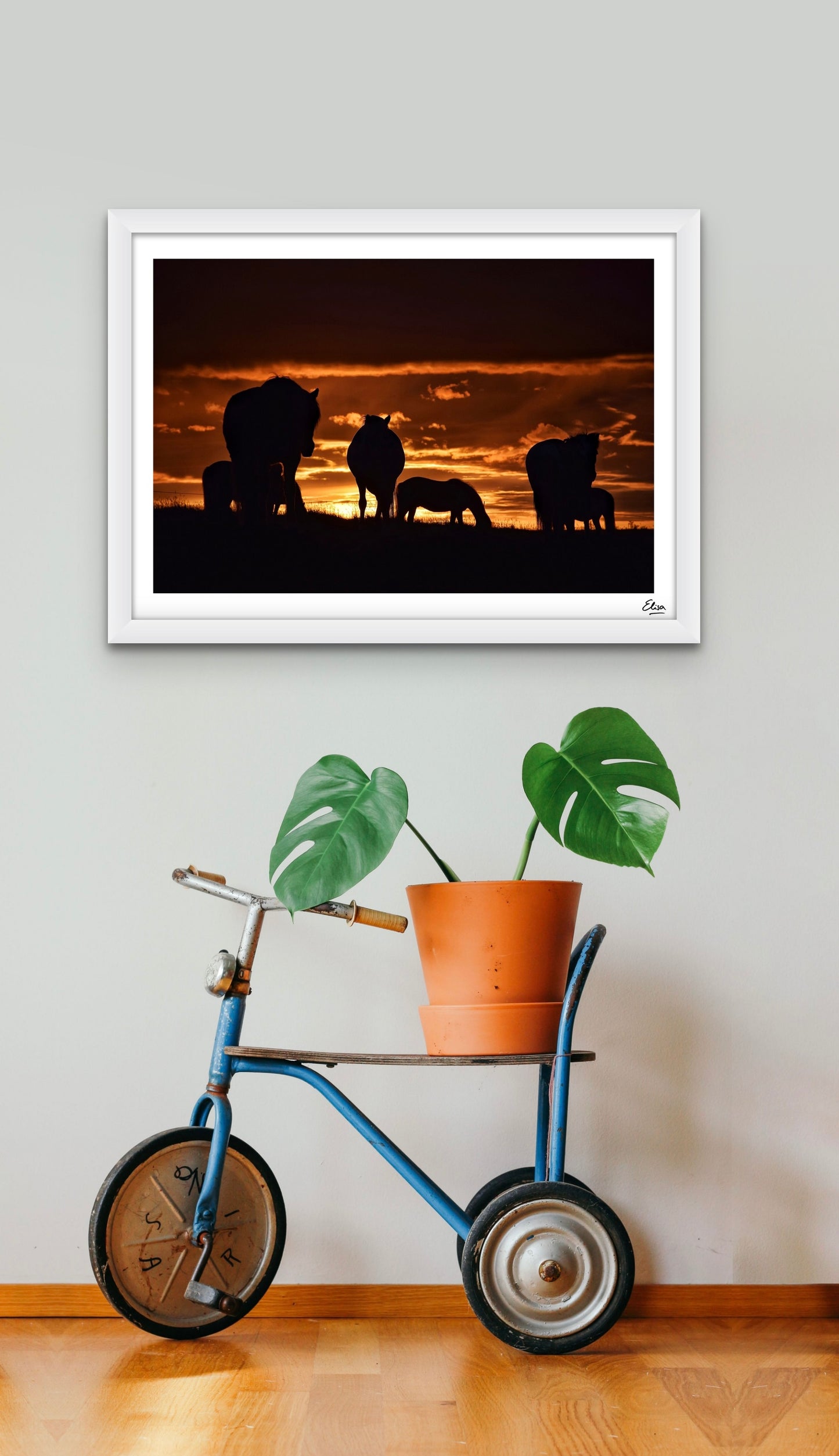 Horses in the midnight sun