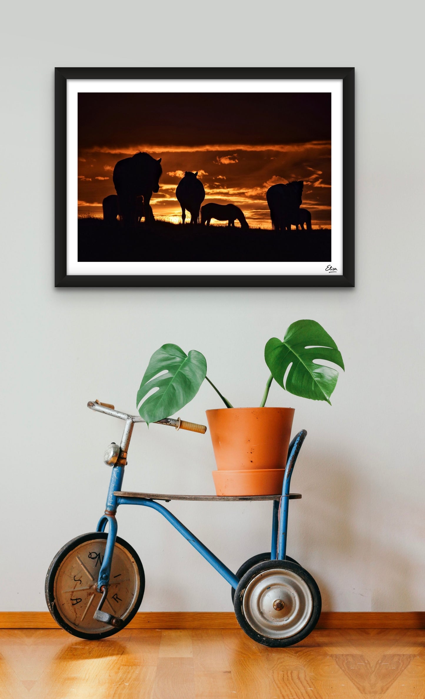 Horses in the midnight sun