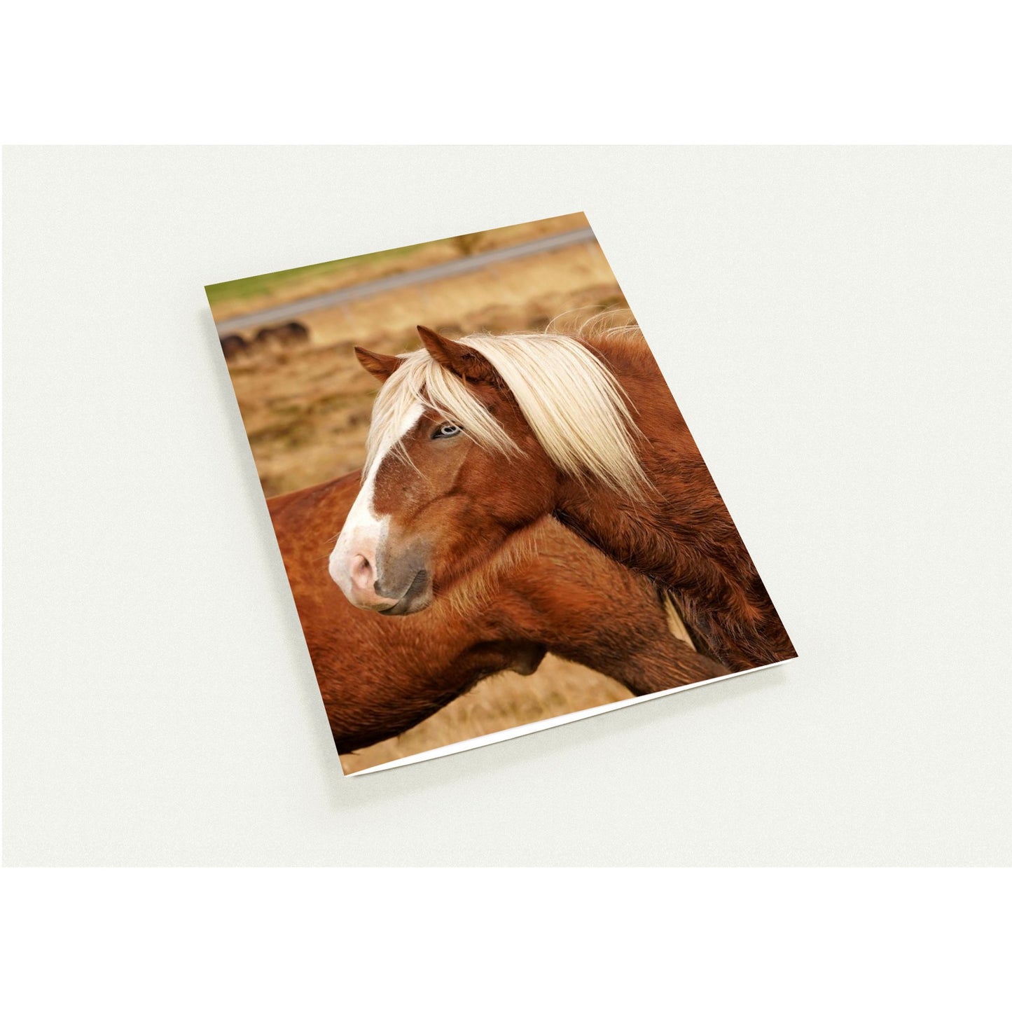 0a255a23-4e19-4d23-bc21-6b7a65be9a45