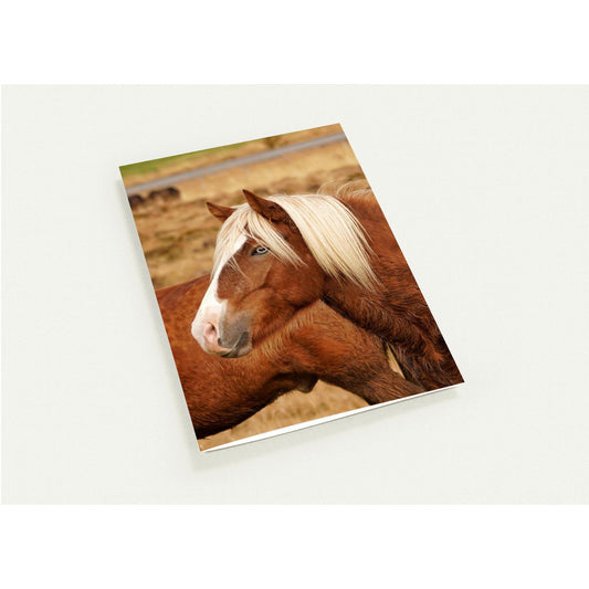 0a255a23-4e19-4d23-bc21-6b7a65be9a45