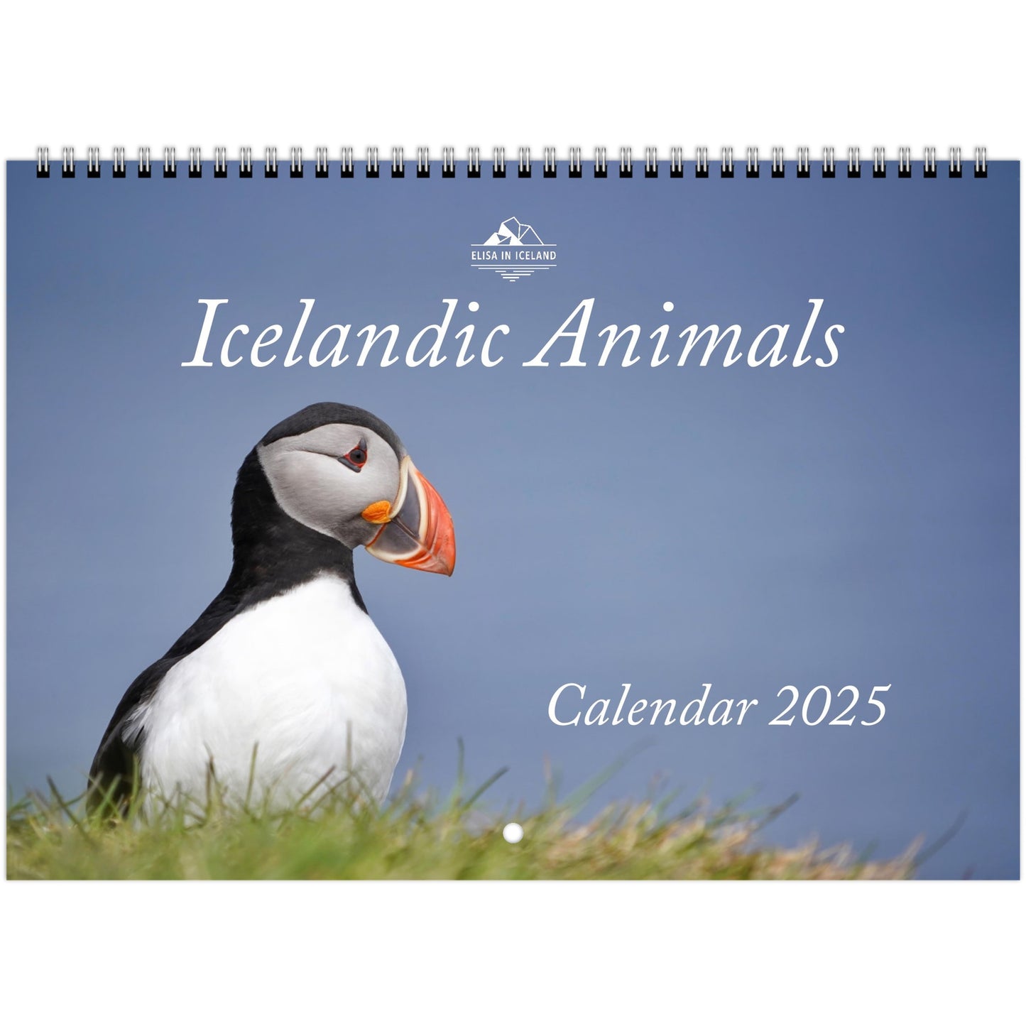 Icelandic Animals - Calendar 2025 (US & CA)