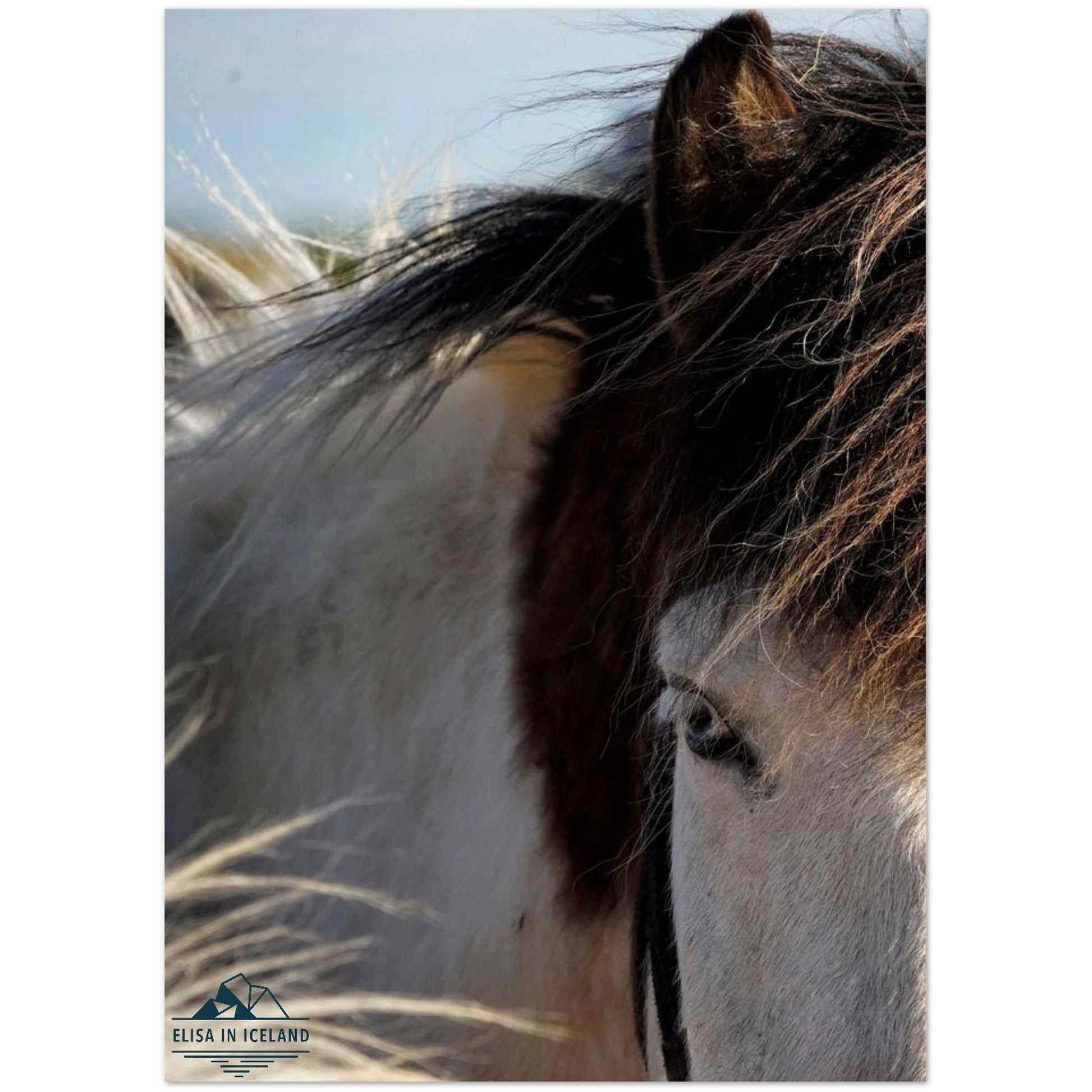 126cc777-7d69-4db8-af8a-35f57010e3ab