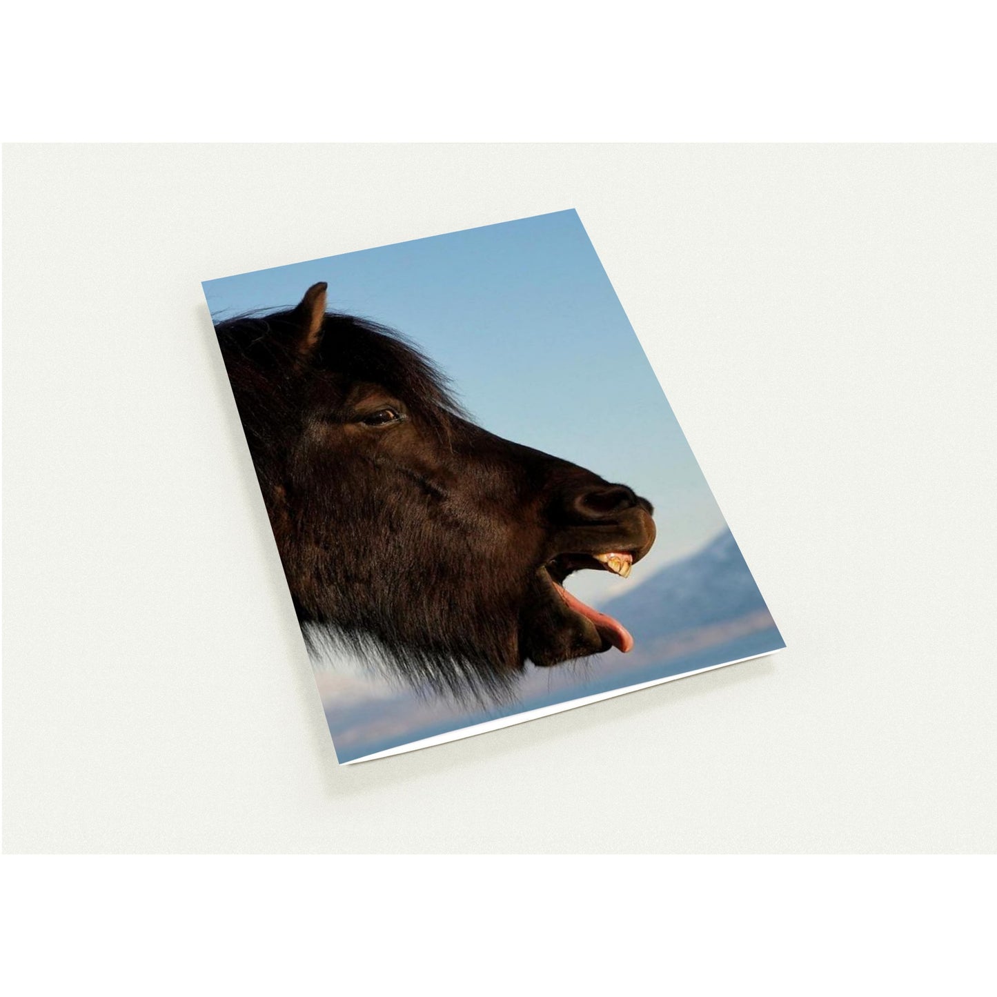 129be419-80c0-4c1f-be15-569c556f706b