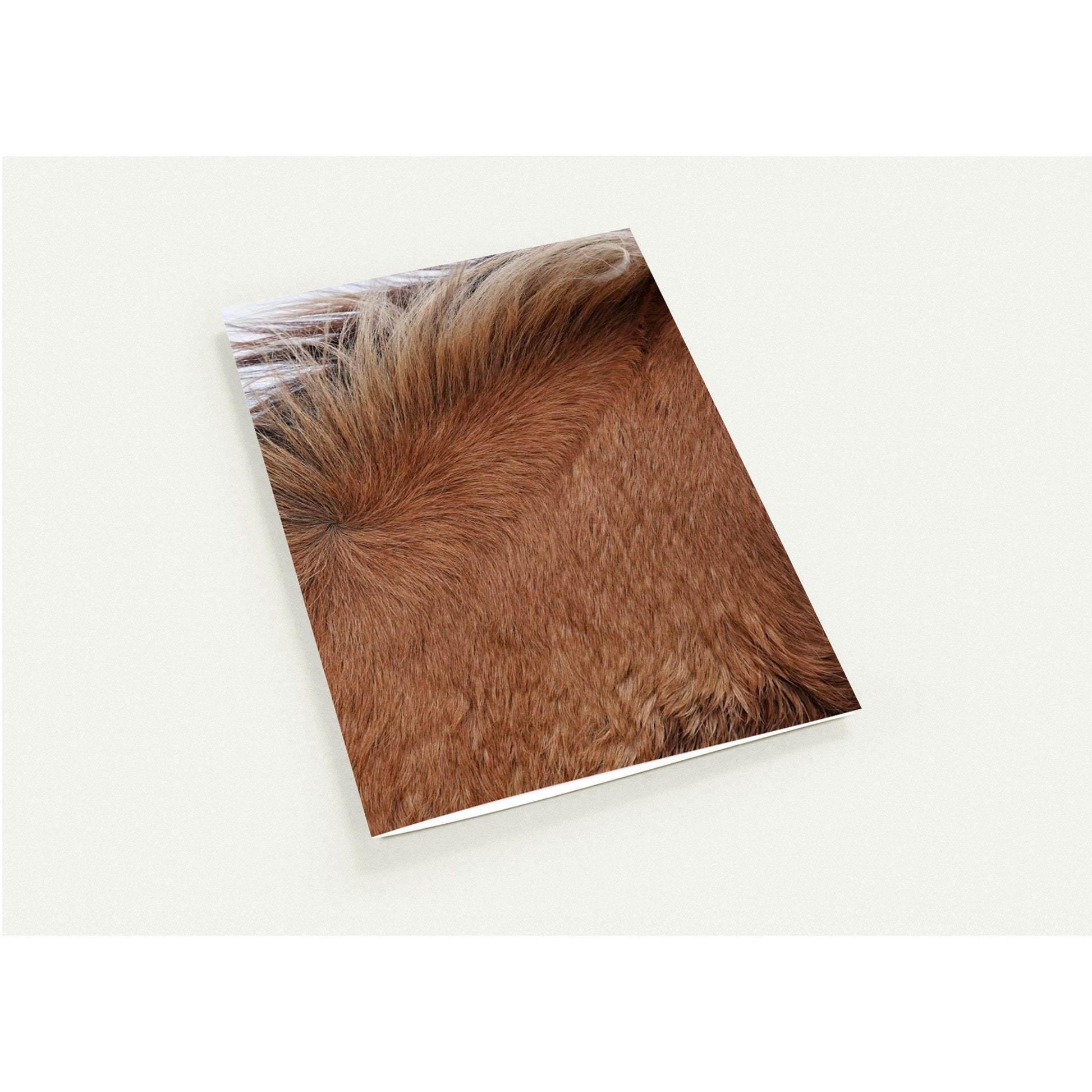 19046b43-bf27-46cb-a605-666b464192b4