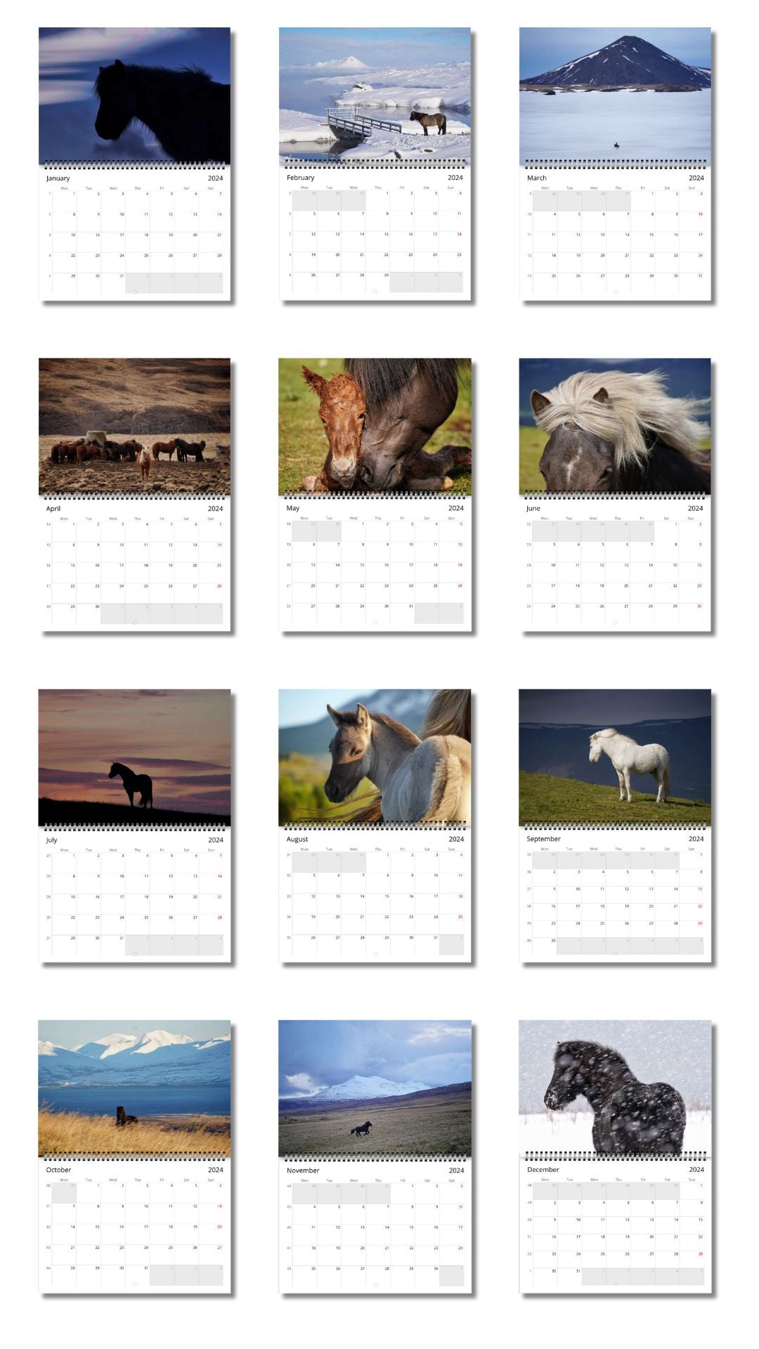 Icelandic Horse Calendar 2024 (US & CA)