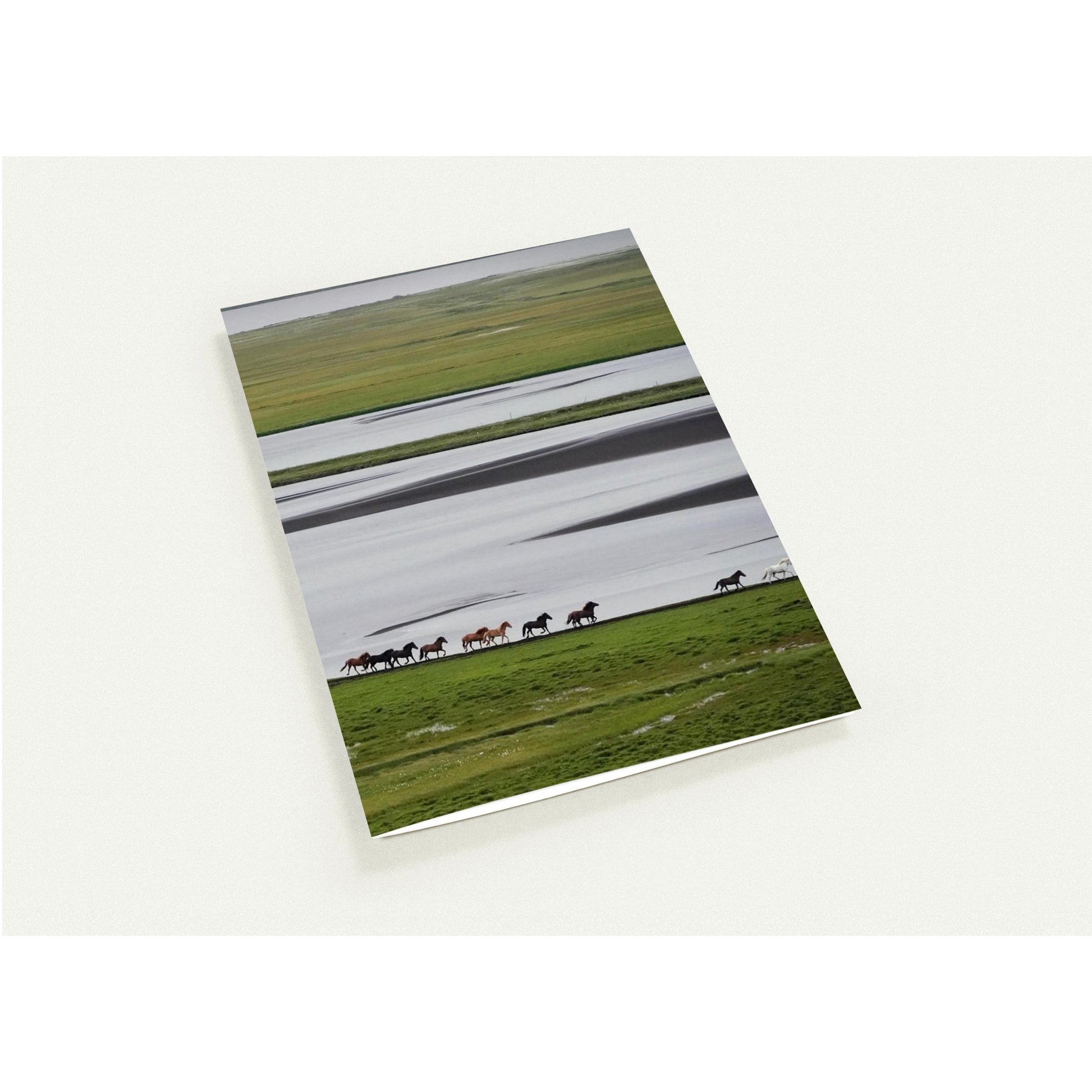 1ad6d1bb-dac8-49aa-8e8f-3c6f488d17f2