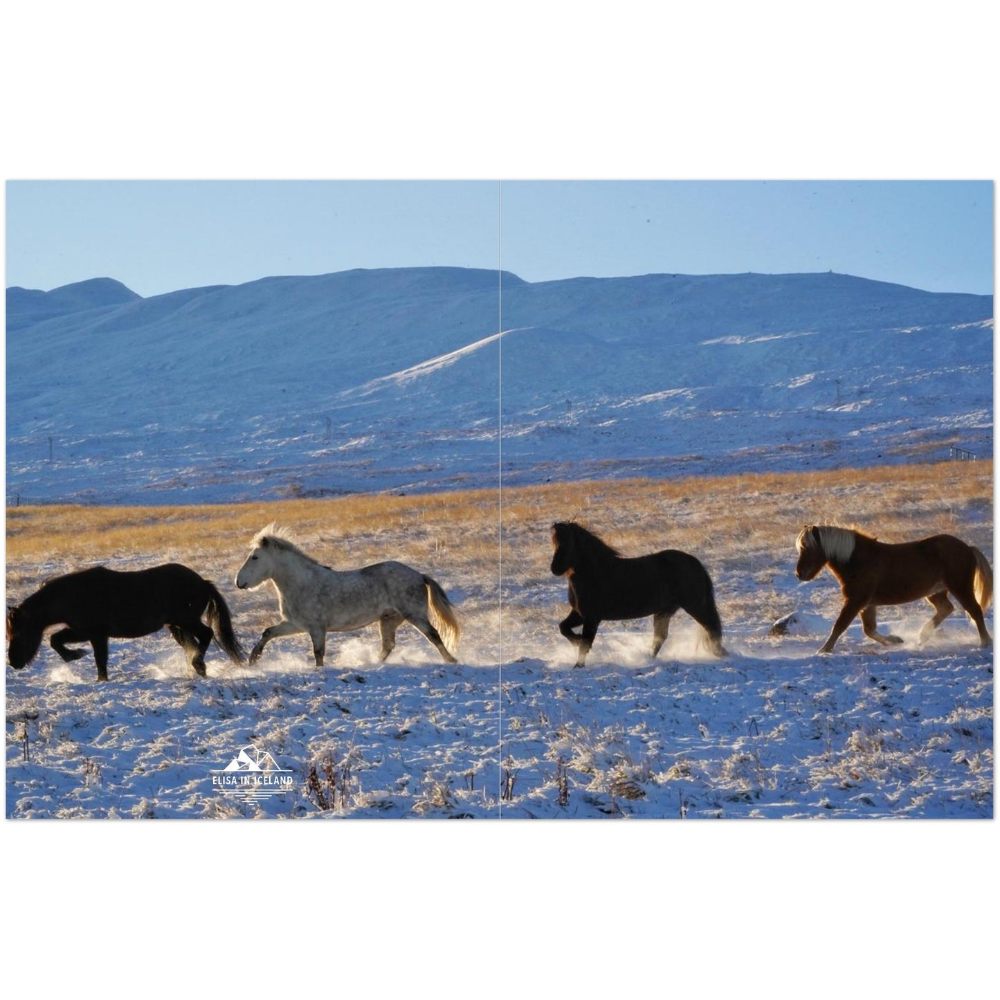 24eaea16-be7b-42dd-afad-037170cd0522