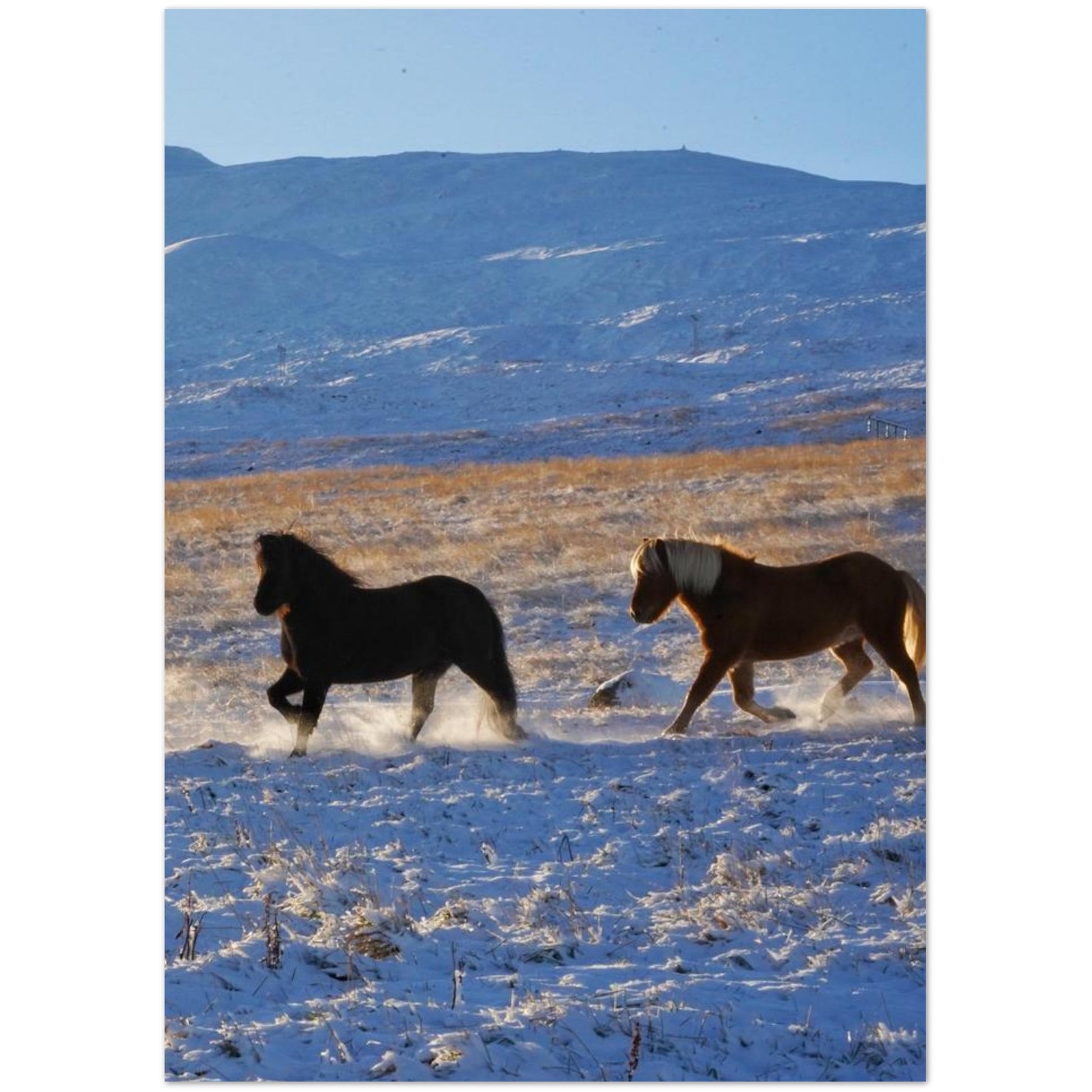 25a7e728-5e71-467b-bffe-d9ee68193a60