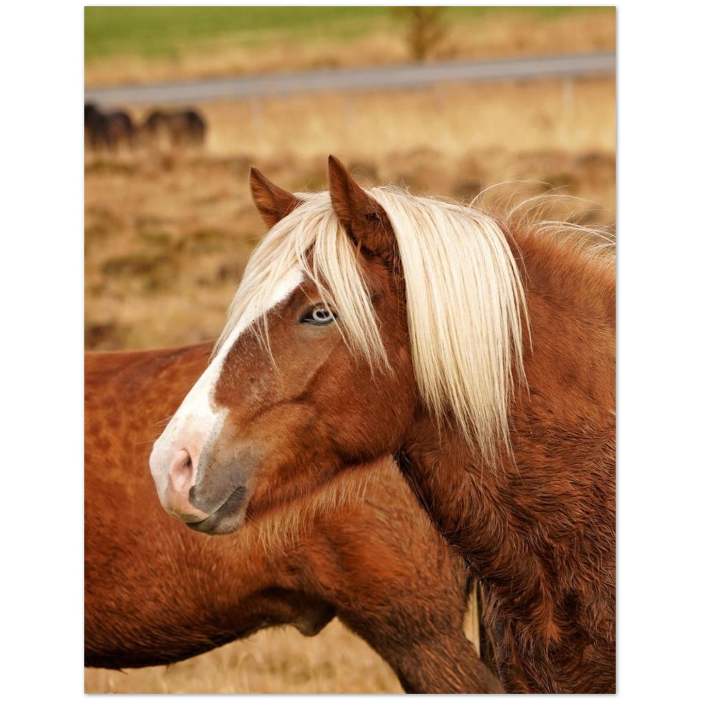 26e29fda-605c-43e4-8884-7fc68cd3080f