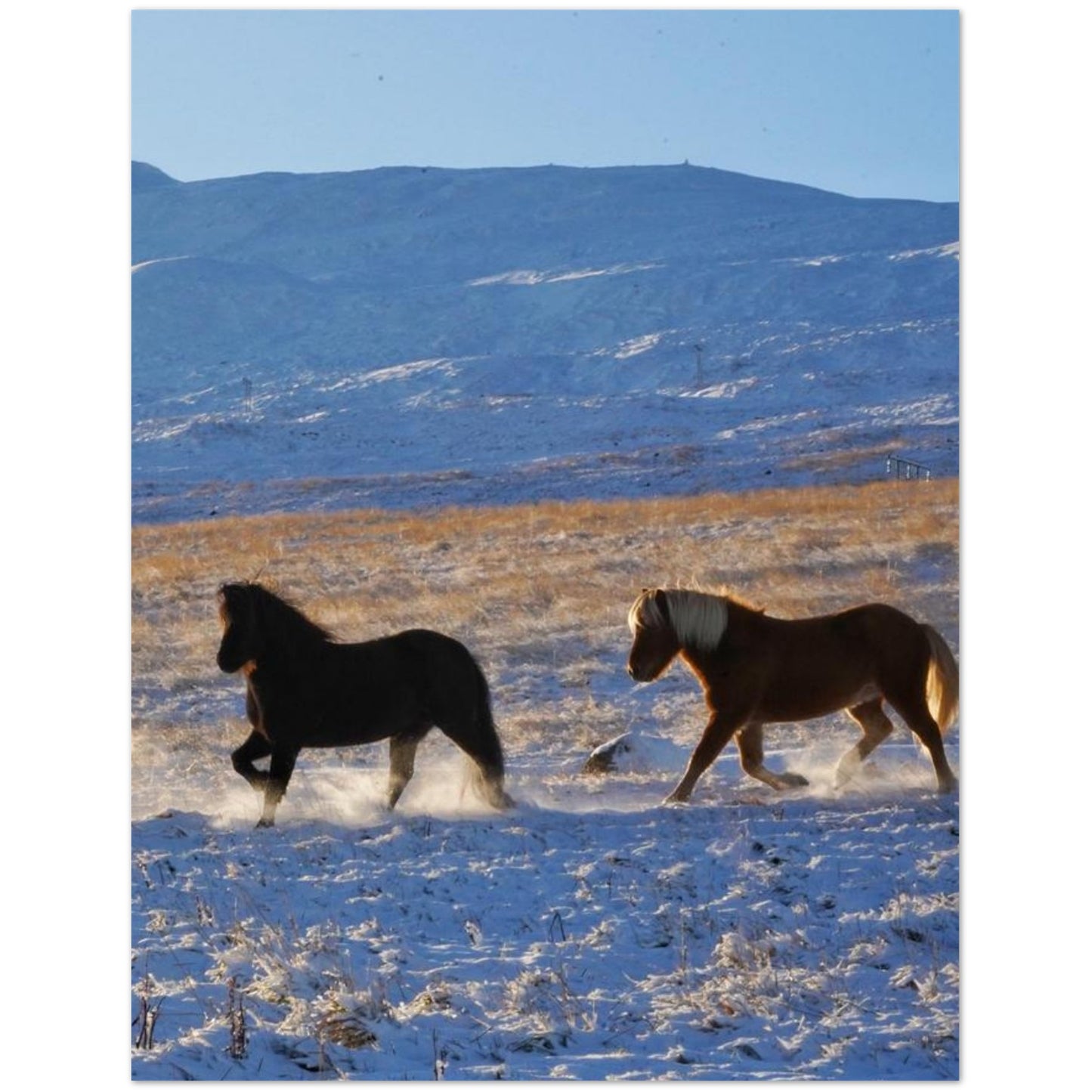 2d4d6e6d-1bbf-46ef-8e20-fd3c9e284261