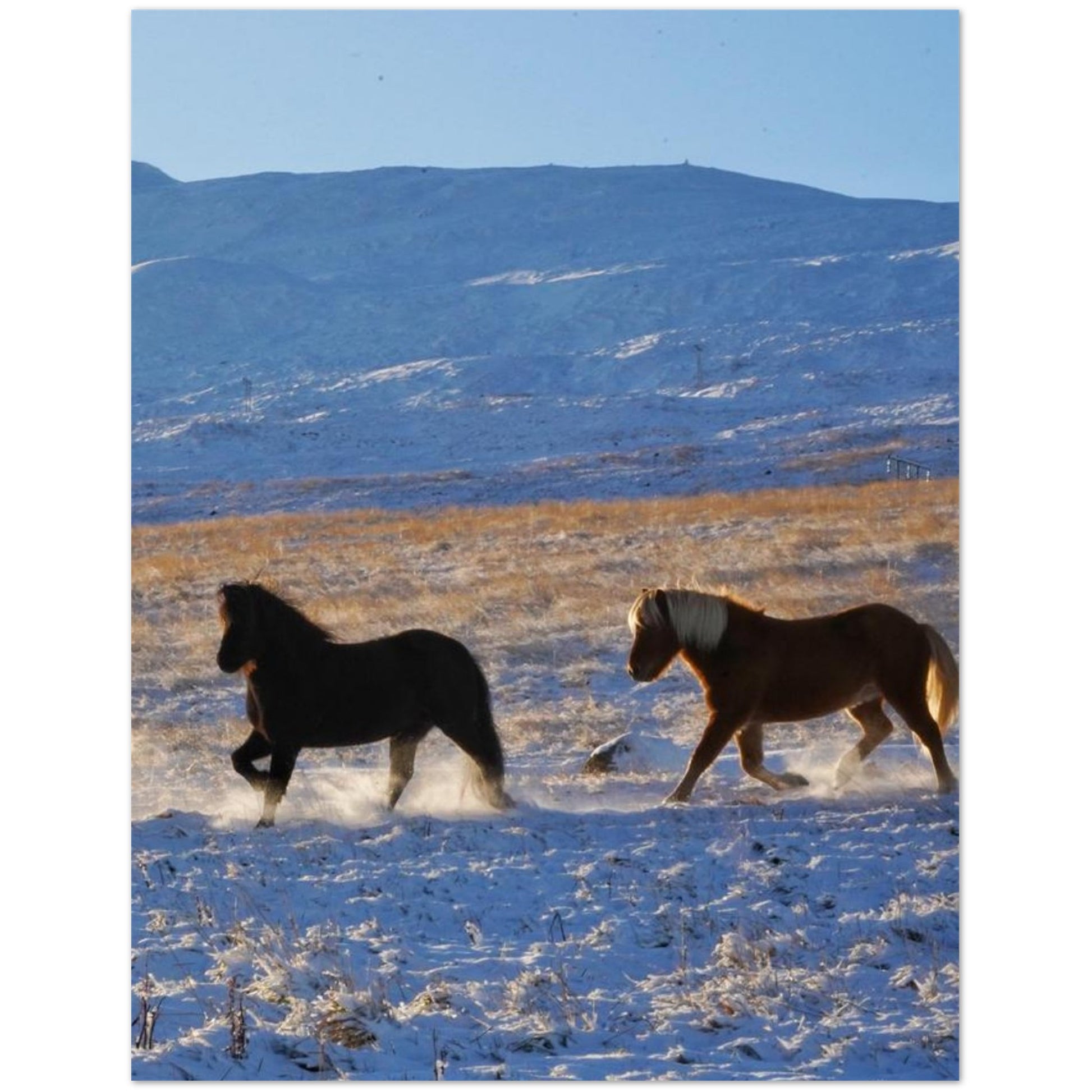 2d4d6e6d-1bbf-46ef-8e20-fd3c9e284261