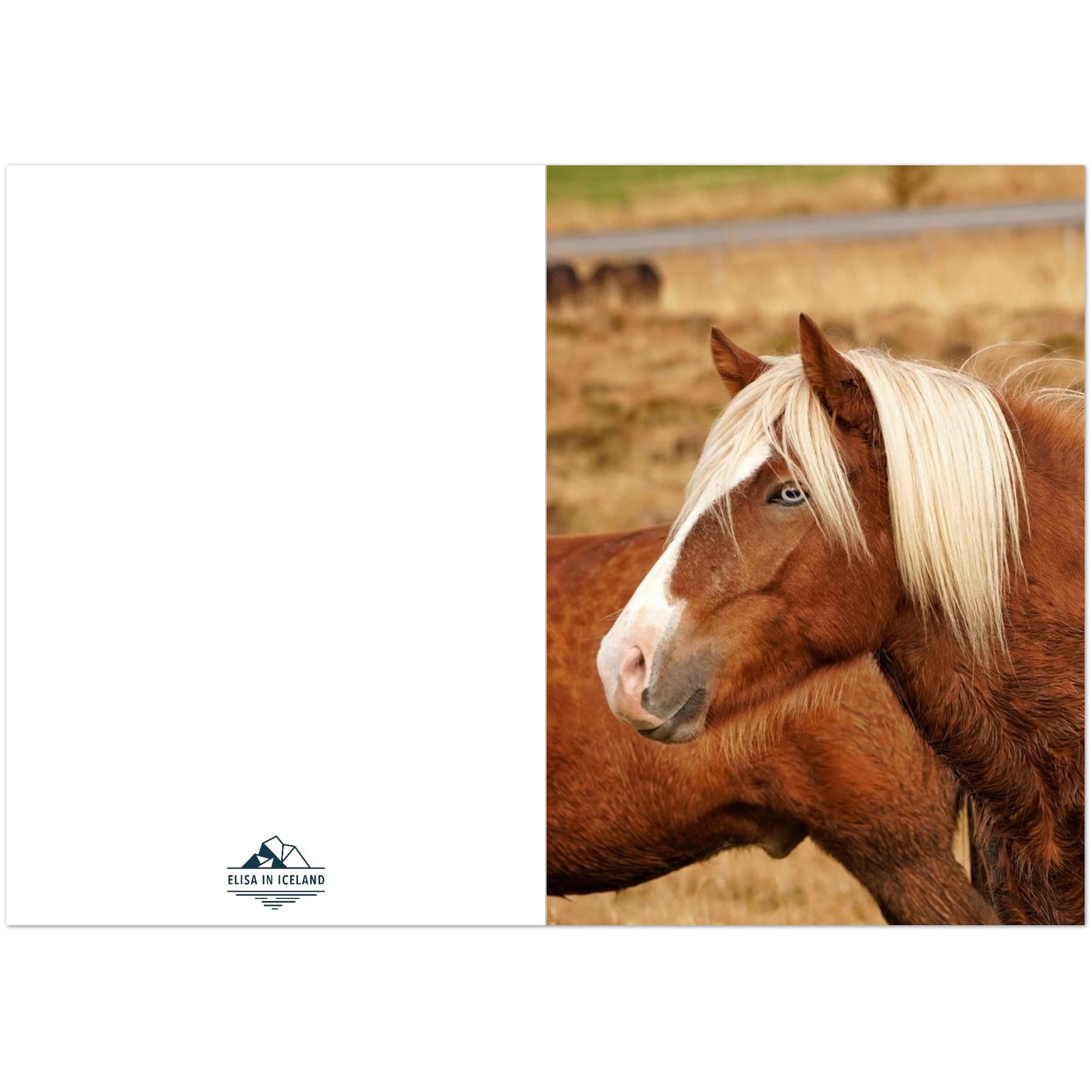 30d56905-d5d6-4464-ba12-1ba8190c4e99