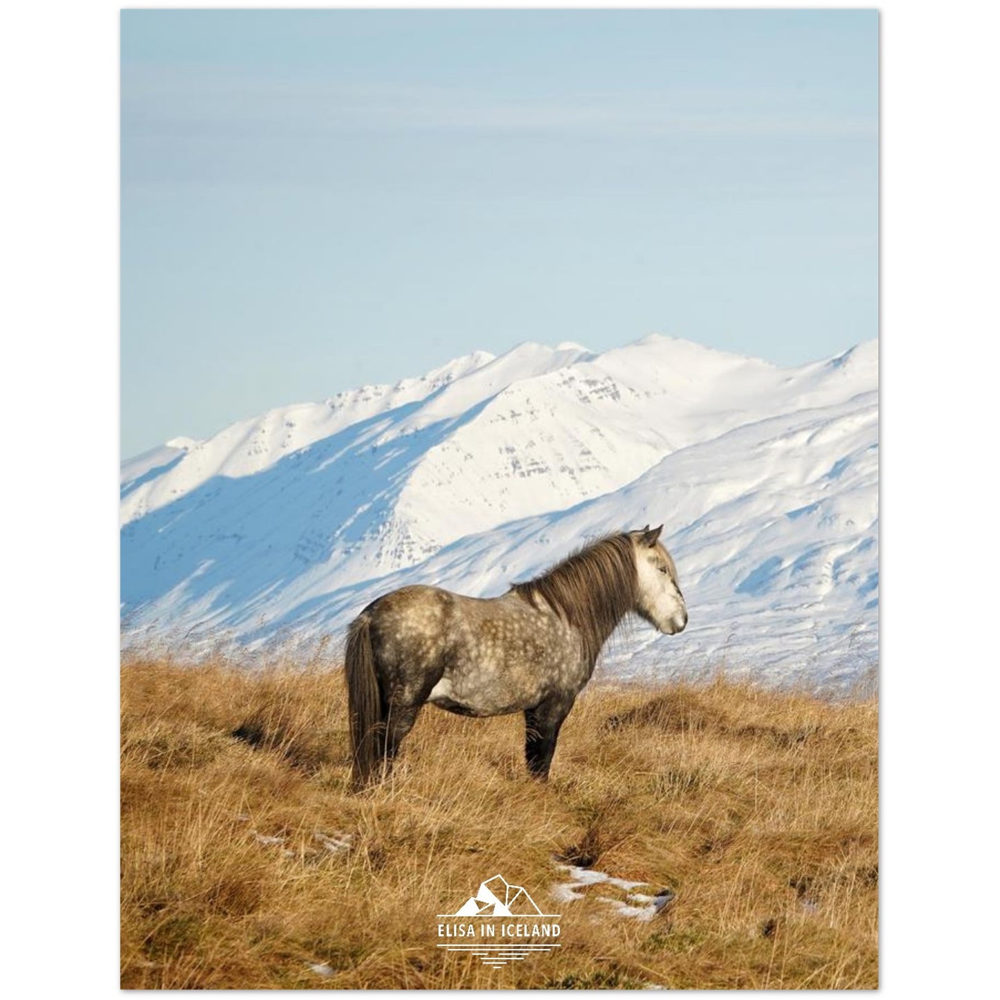 392c8164-323a-4f99-8f6d-43db585700dc