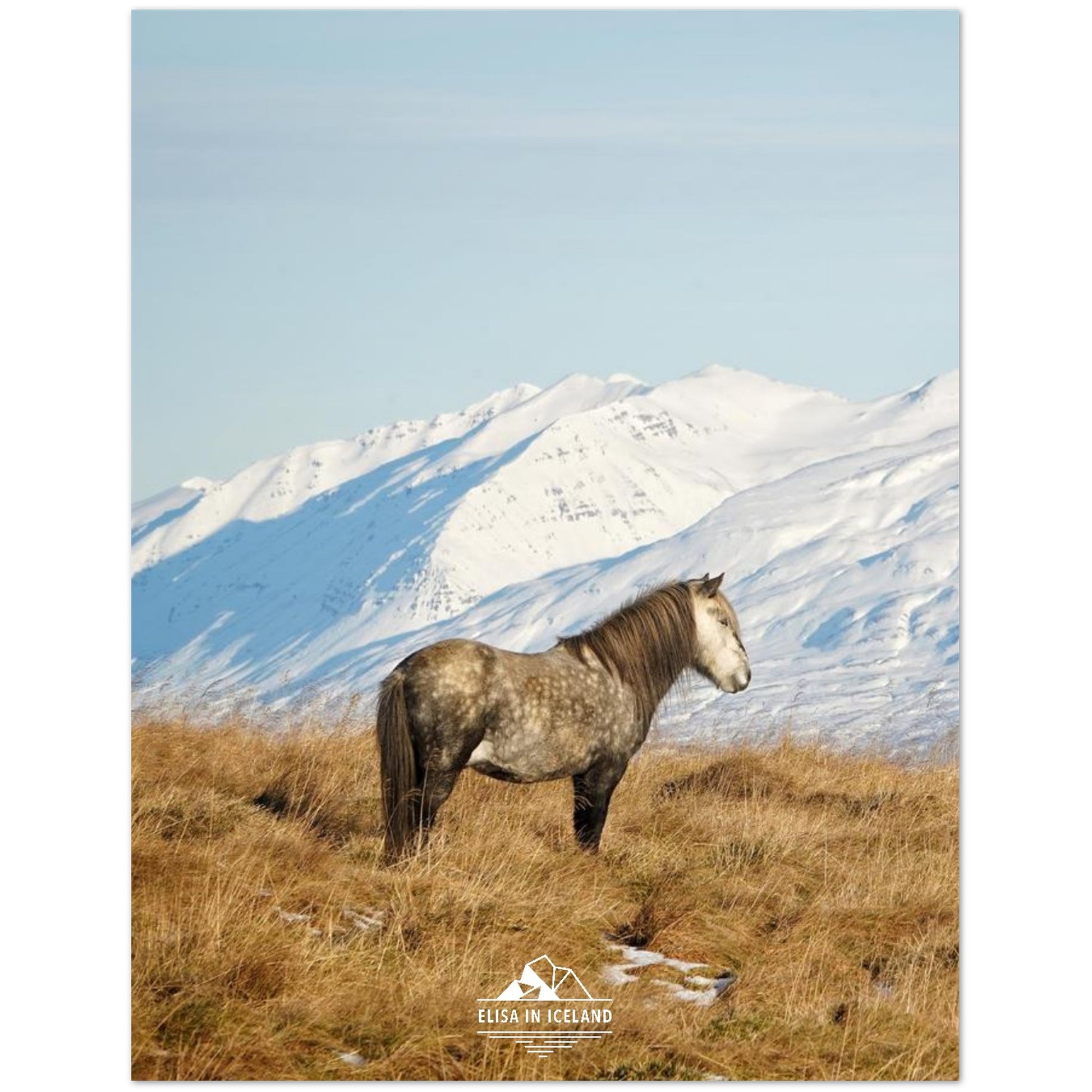 392c8164-323a-4f99-8f6d-43db585700dc