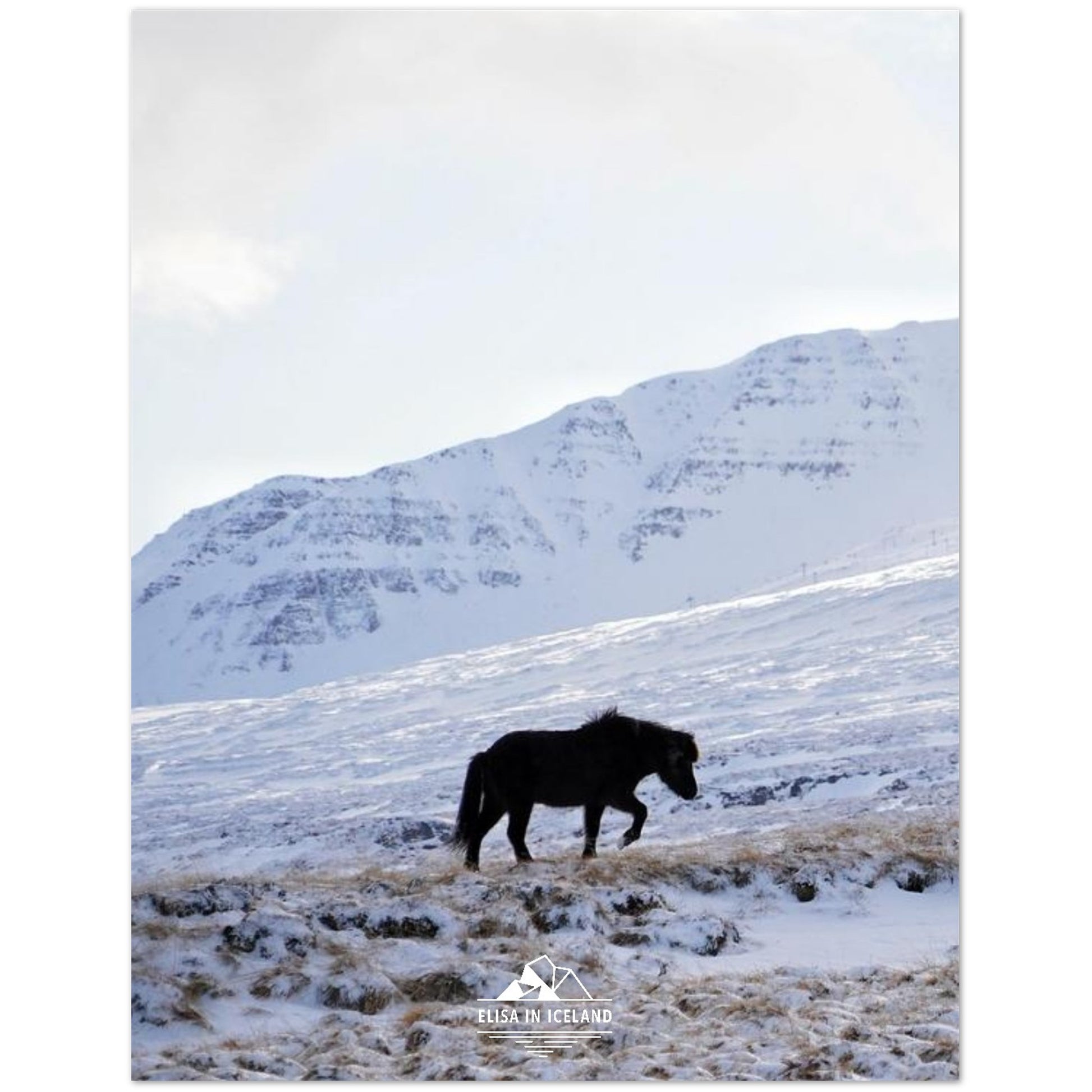 3ccf417d-d024-424d-a069-a053036f634f