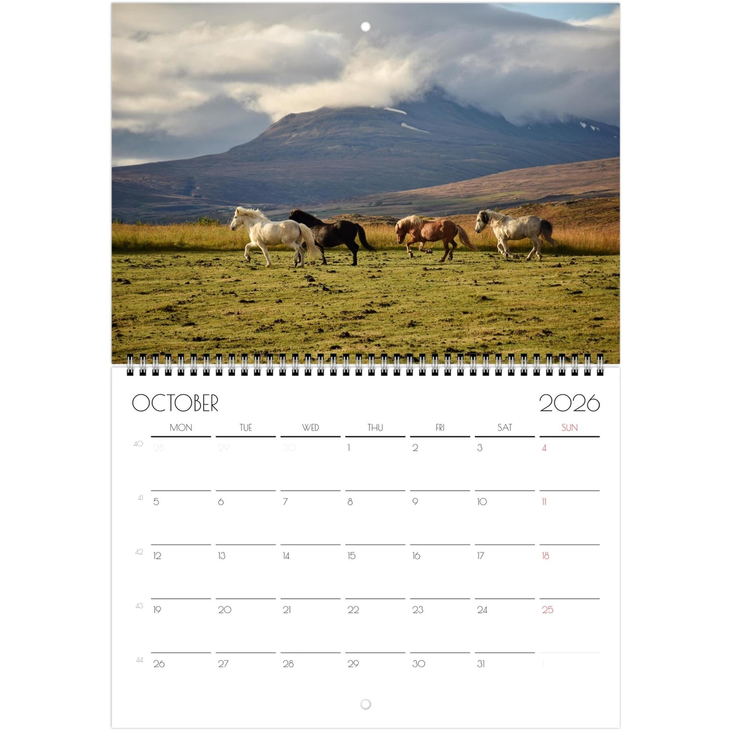 3e57b934-bc50-4ccb-8e2c-b0fb06454738