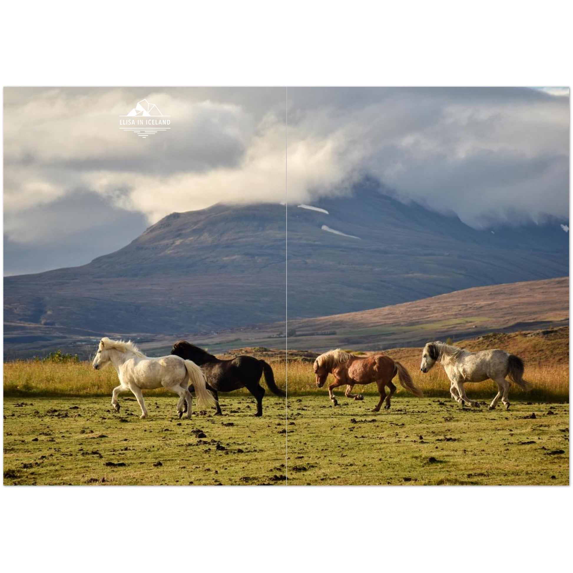 42a20552-c21b-471a-831c-4796db7ef3cb