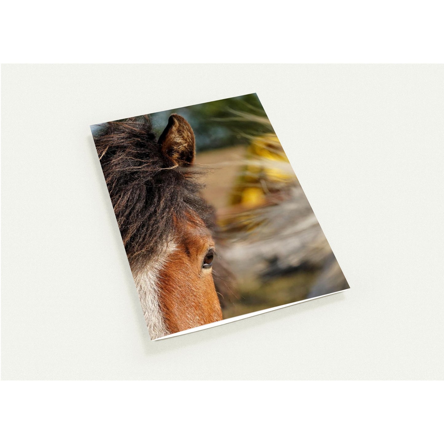 45714610-a913-450a-aa13-e399ad1c080c