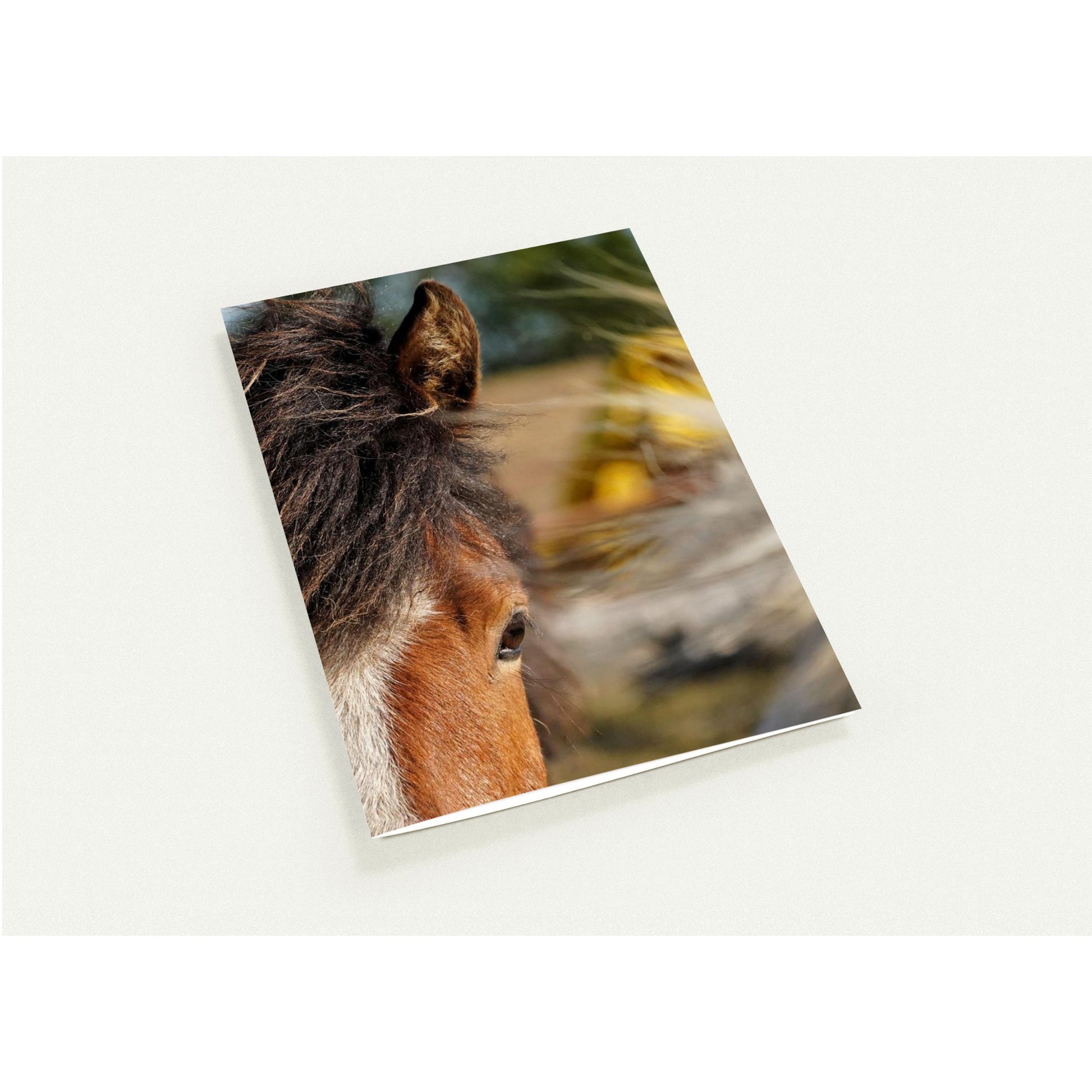 45714610-a913-450a-aa13-e399ad1c080c