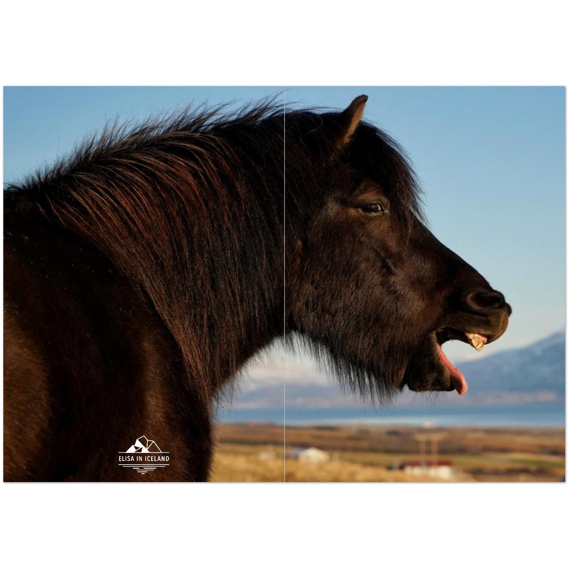 45cefe7f-7418-478e-9472-65700155f729