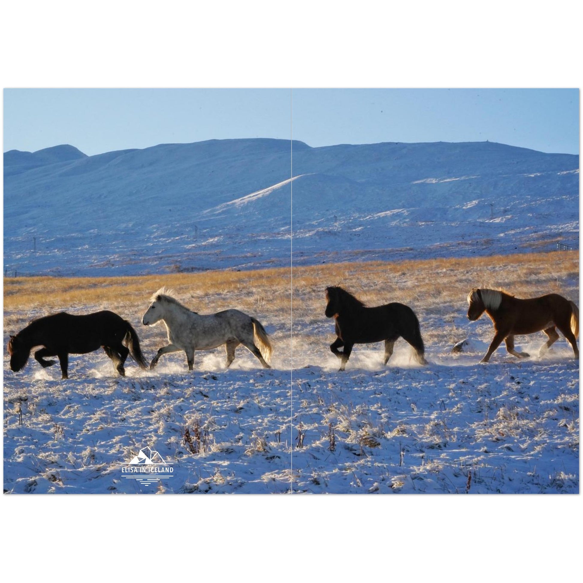 46967300-43c5-4e53-ad2c-8a8defd9020c