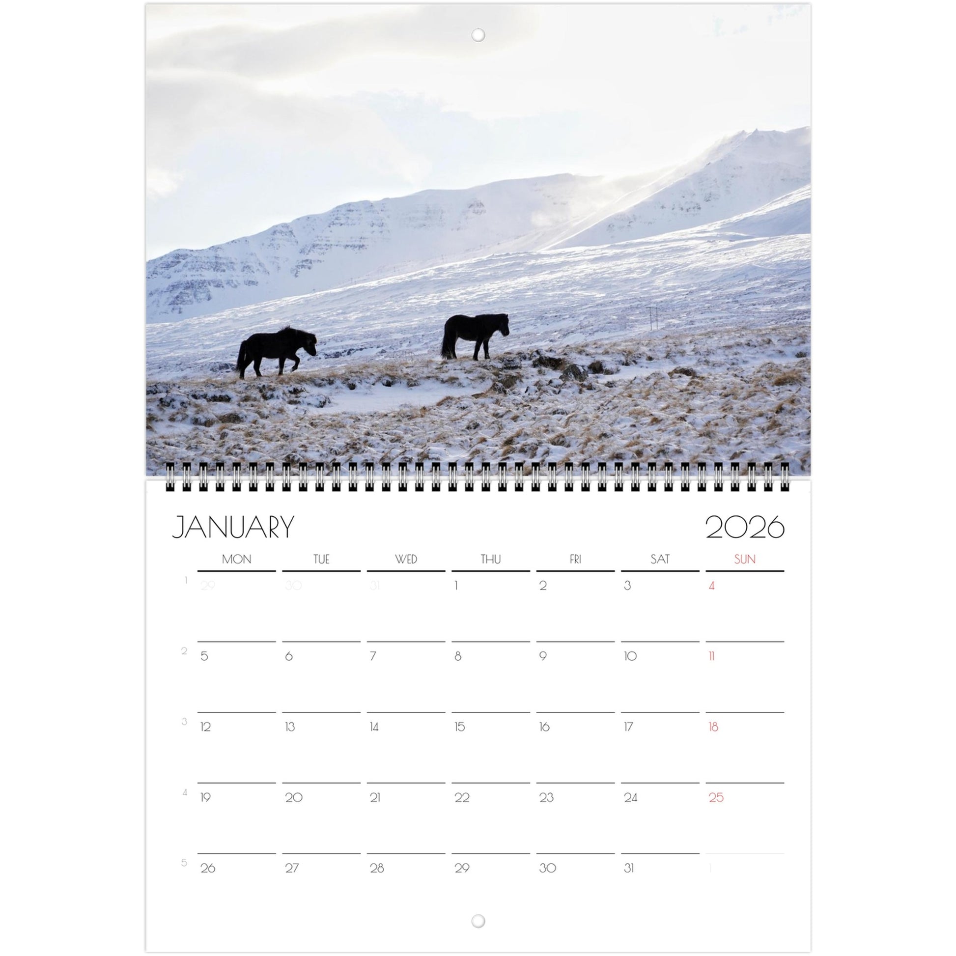 48591e3b-6dd5-4741-b462-93585bb13bb5