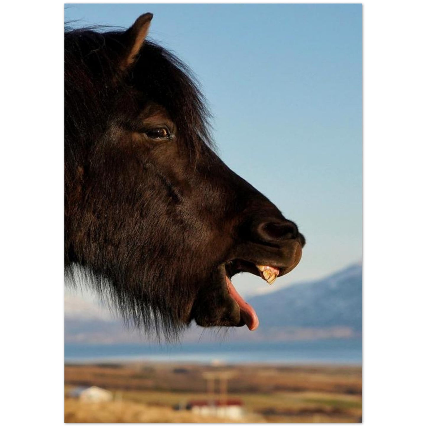 4f5777a8-0aeb-4f09-a023-cc10473c524c