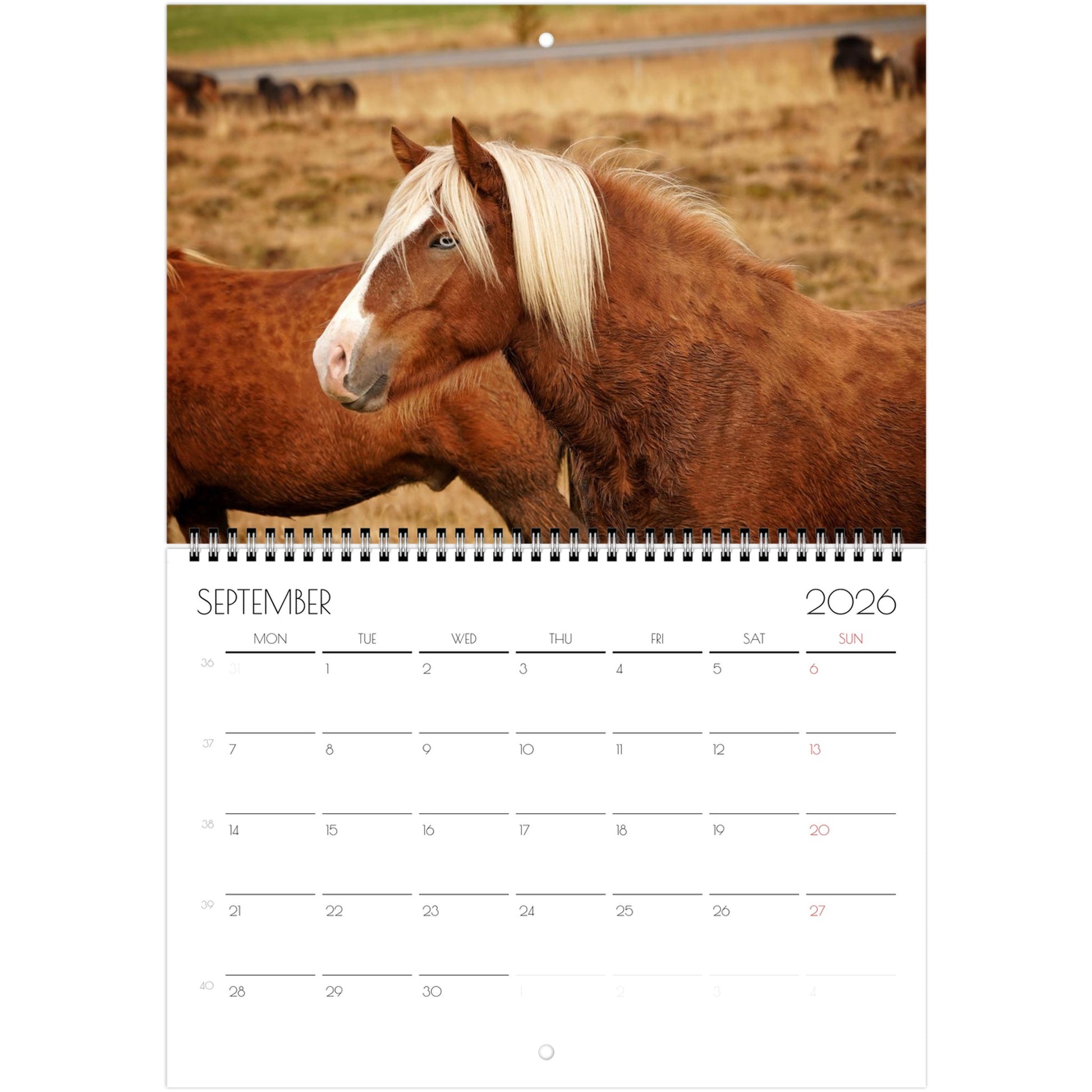 51566d53-0f4e-48f6-90b4-cd844746fd26