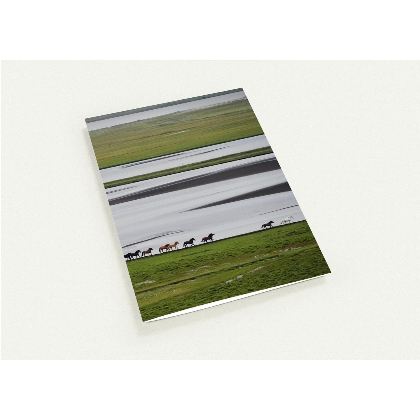 5f73bcd5-88e5-4861-8e0e-0490f864fc6f