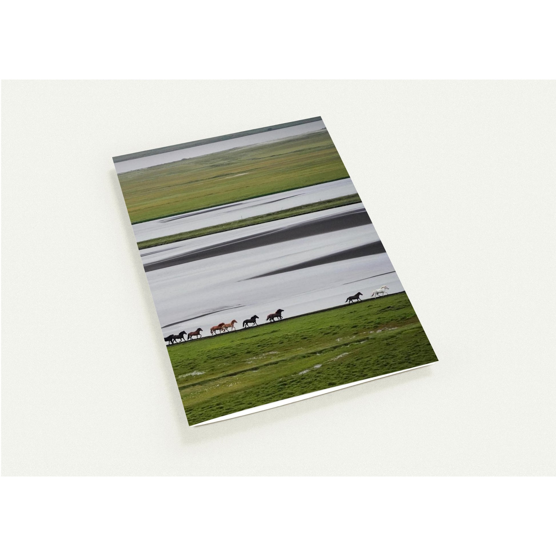 5f73bcd5-88e5-4861-8e0e-0490f864fc6f