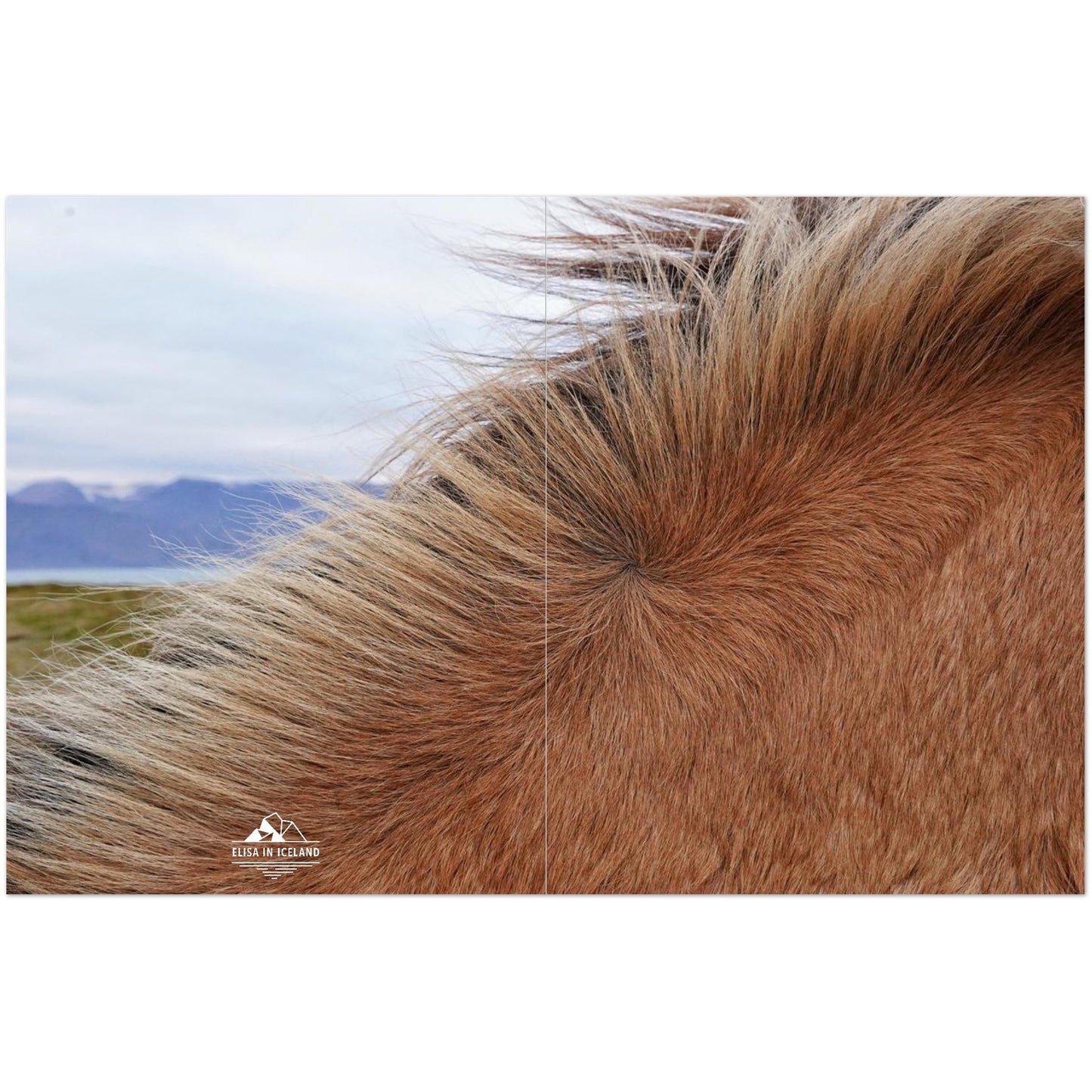 65ae654a-9e53-4670-96c8-6f9d35da2ea8