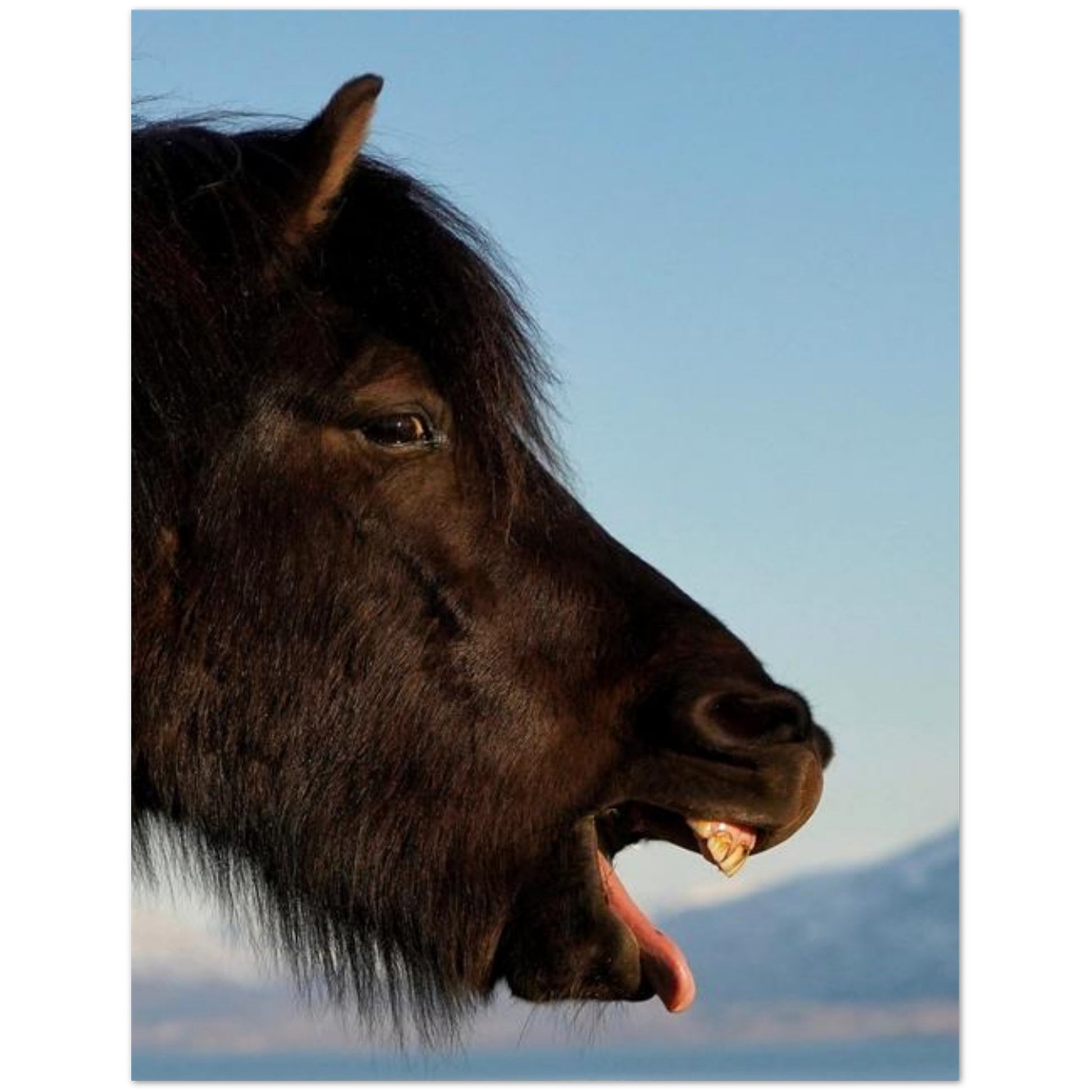 66e4b8f8-f871-4503-a4a3-690aeea37c3d