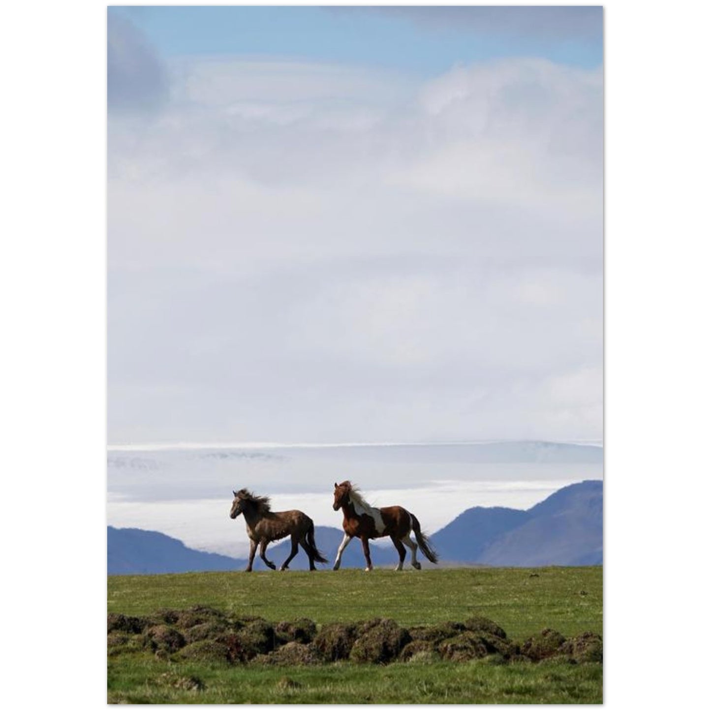 701b88fb-962e-48ef-8205-fbf1af238ab7