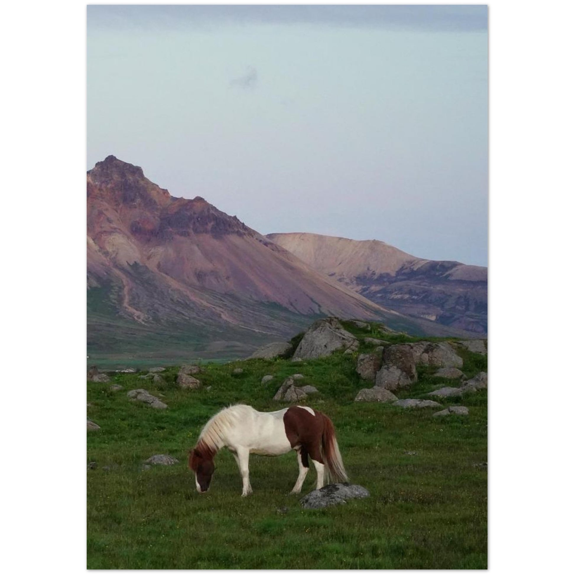 701c088c-6d6c-436c-ad93-4d507d13a916