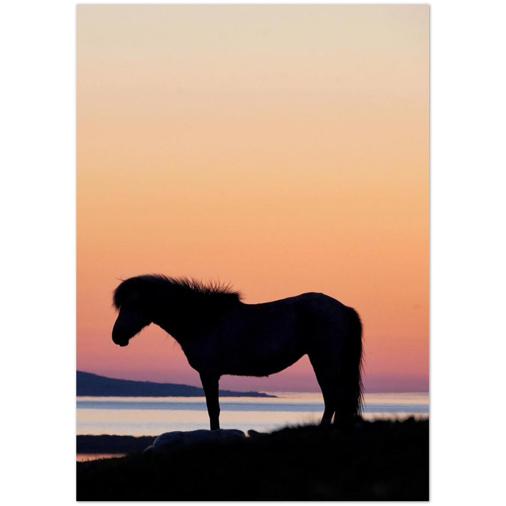 7adfd12b-b578-4388-8ca3-45f8cd3730c0