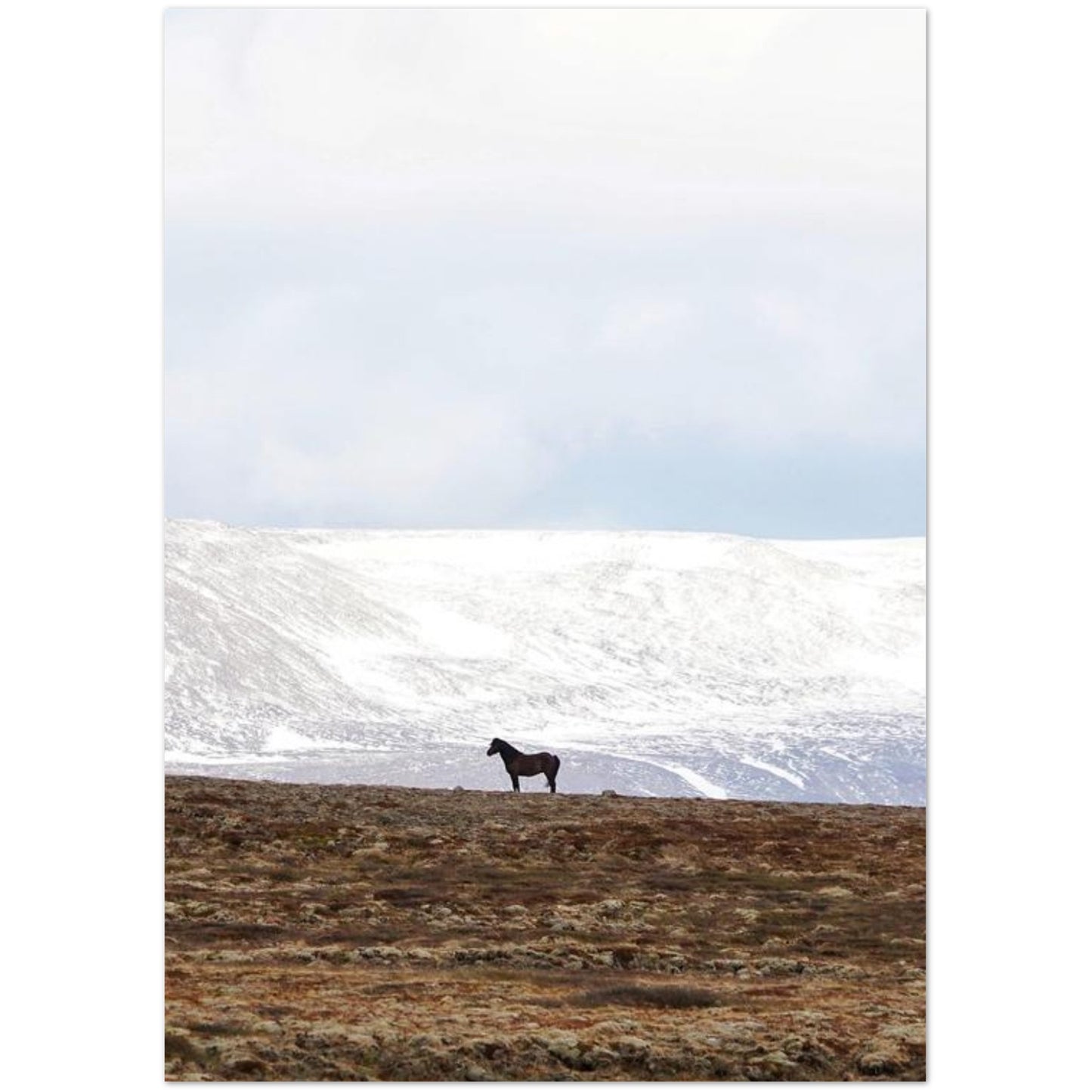 7b61fa45-74c9-4857-9166-7b516bfef520