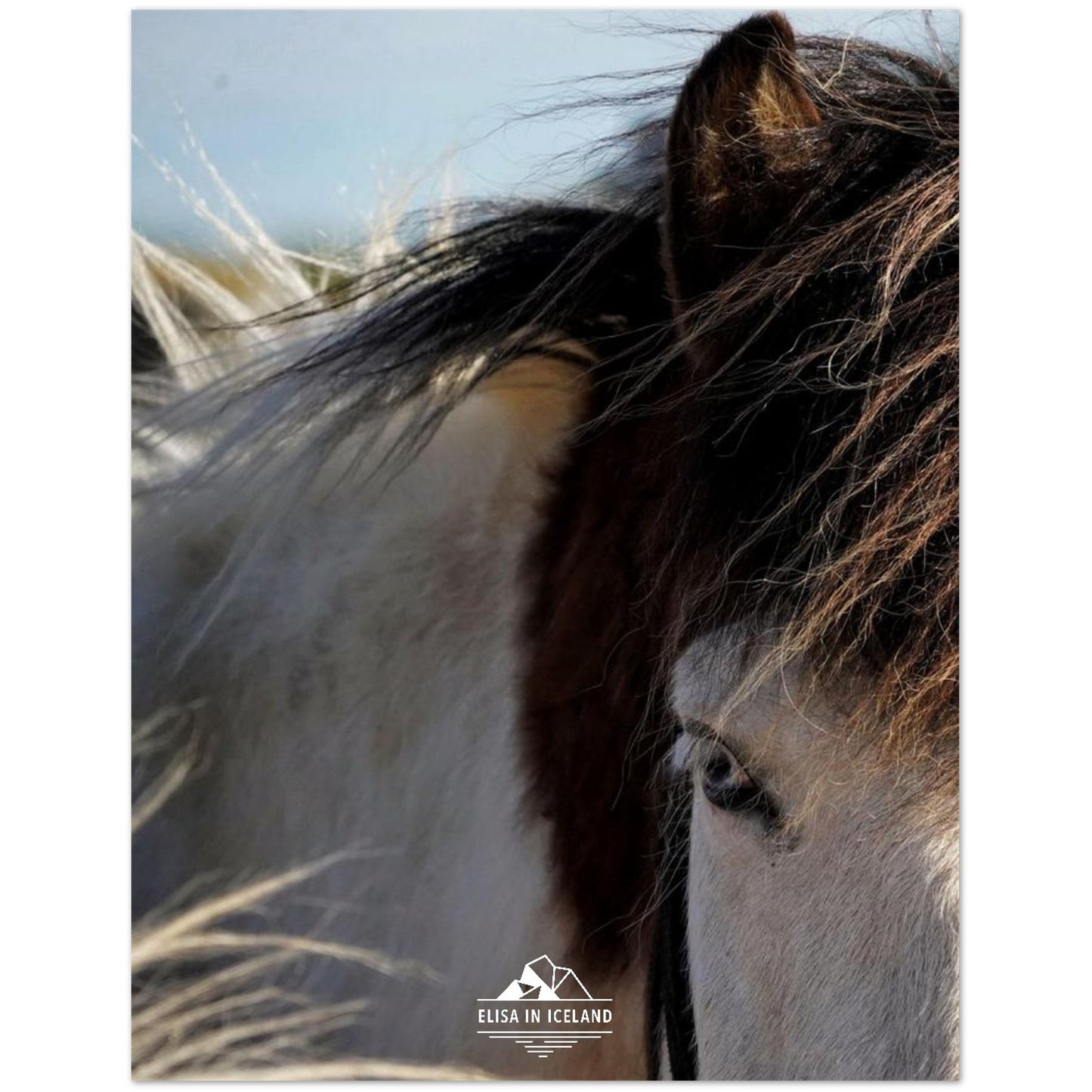 7bde1780-6046-4c9c-9305-909feeac458c