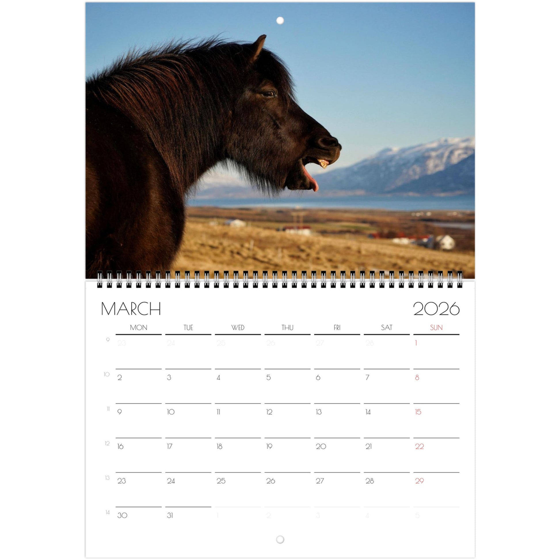 7d886817-aa7d-4f32-9d42-0406b4ef6c14