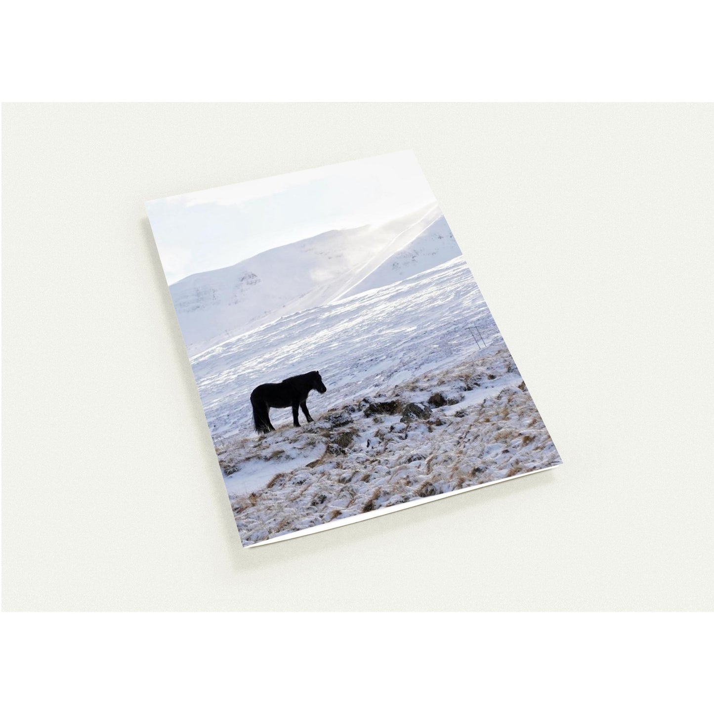 803f2b03-e8a9-426f-bbbe-2d85423d7807