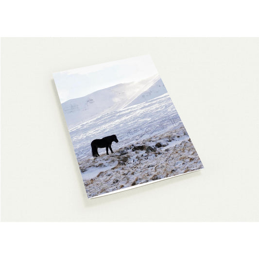 803f2b03-e8a9-426f-bbbe-2d85423d7807